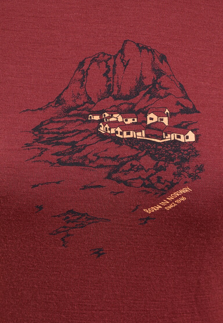 The Ascent 365 merino 200 Norway graphic