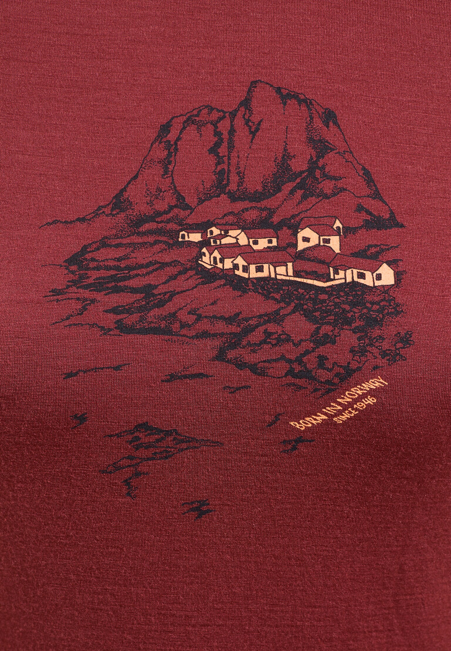 Ascent 365 Merino 200 Langarmshirt mit Norwegen-Motiv