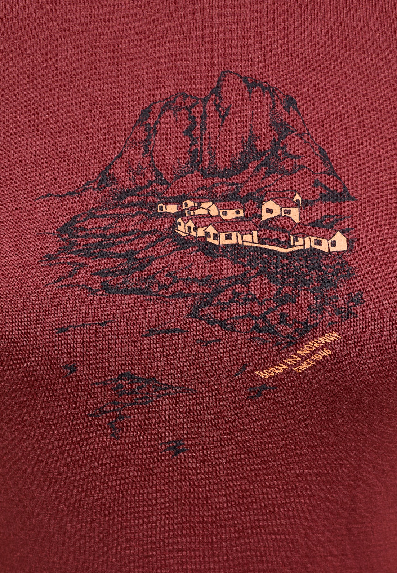 Ascent 365 Merino 200 Langarmshirt mit Norwegen-Motiv