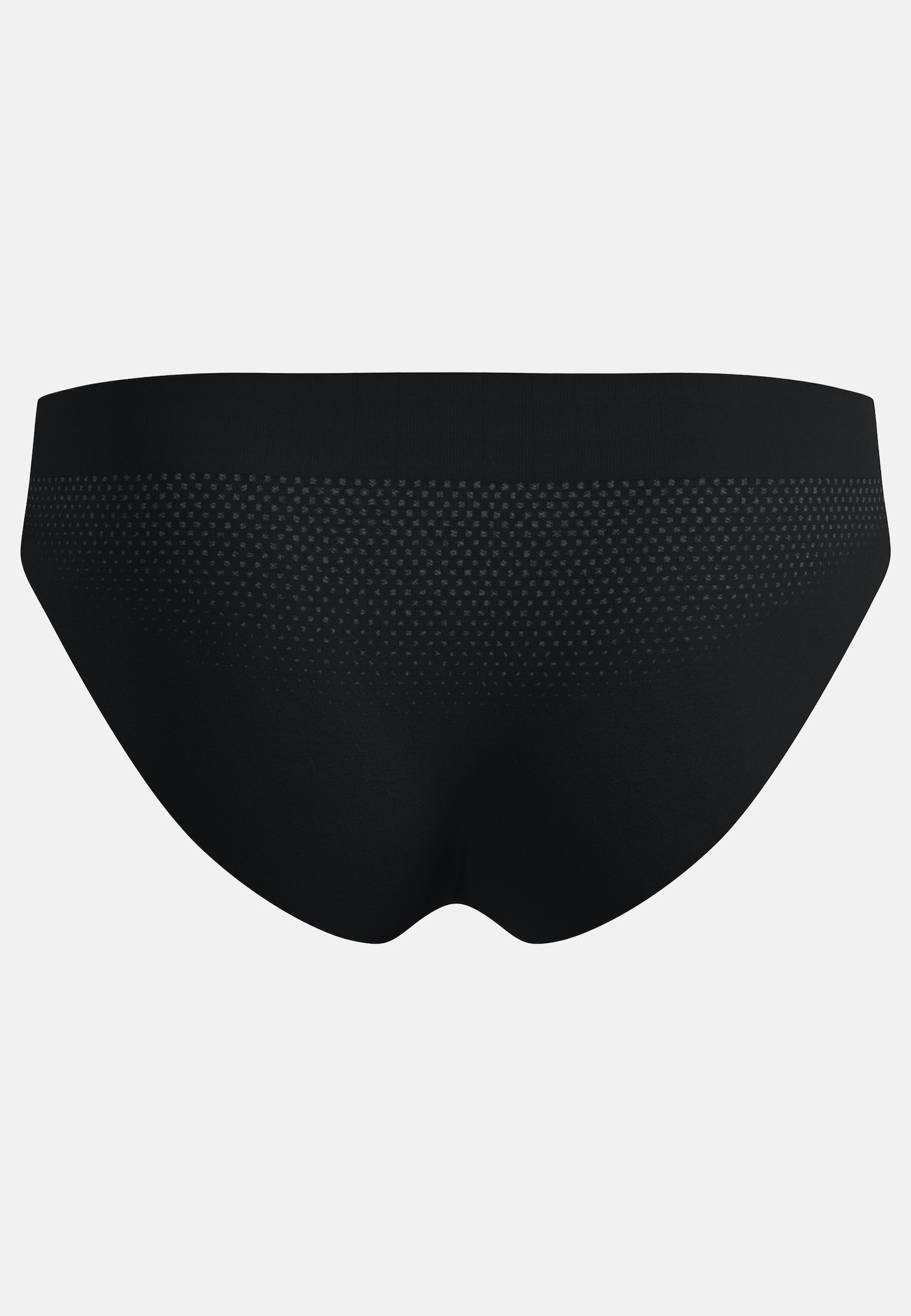 Performance Light Brief