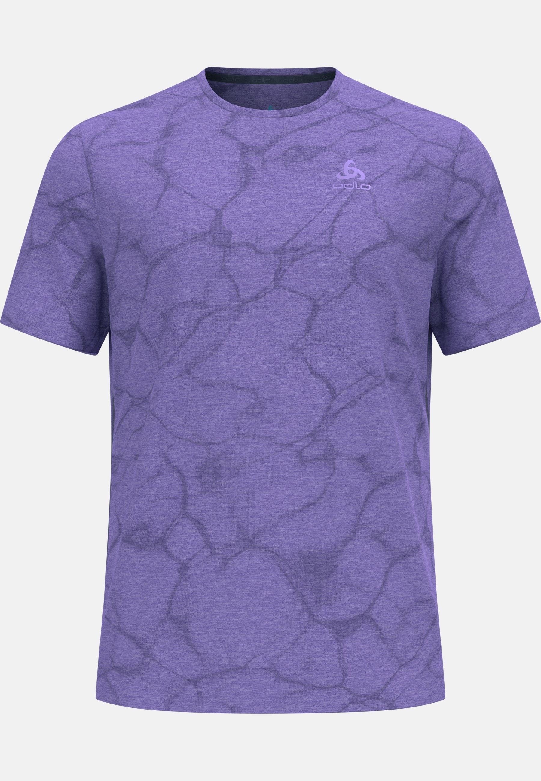Tシャツ・カットソー CHAMPION Men T-shirt Violet 221124 VS518 Champion Men's Lightweight Short Sleeve Tee - Sam's Club