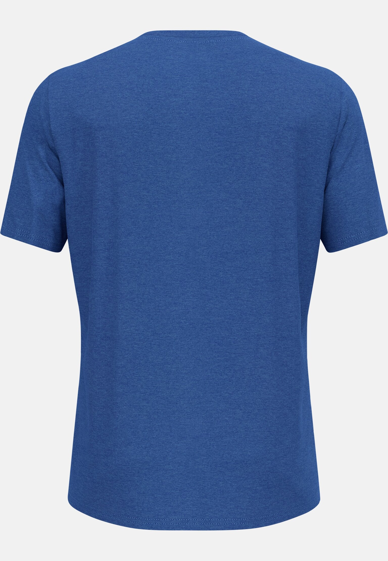 Ascent T-Shirt mit Landschaftsmotiv