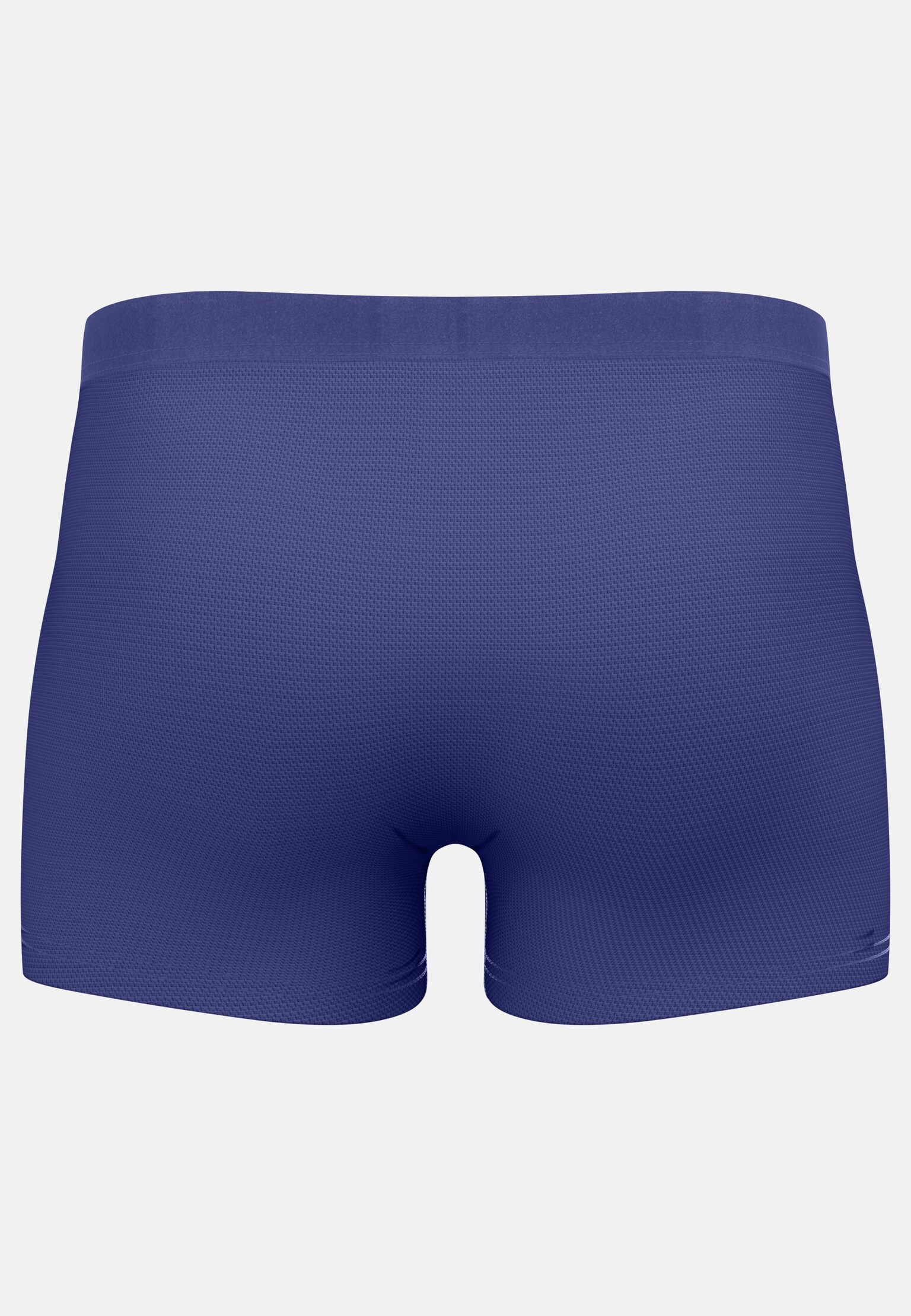 The Active F-Dry Light Boxer