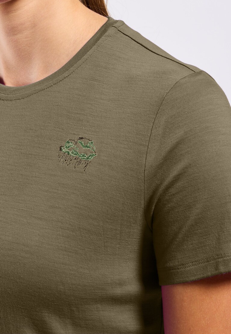 The Ascent merino 160 raincloud t-shirt
