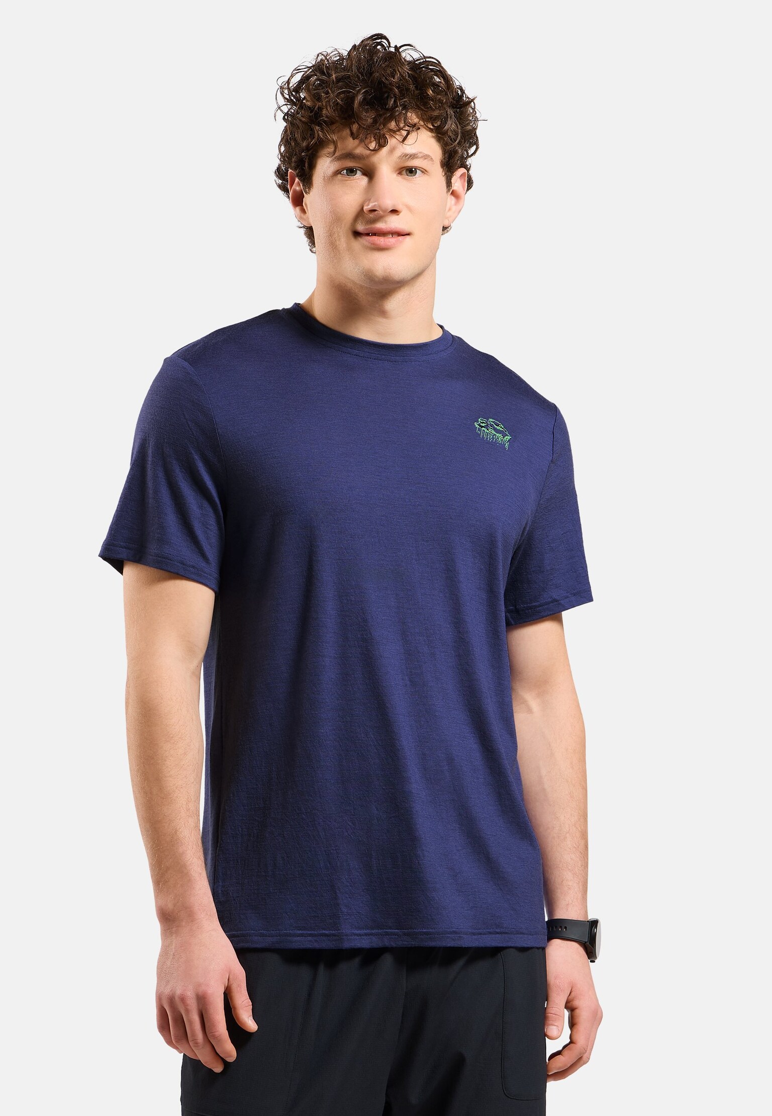 The Ascent merino 160 raincloud t-shirt
