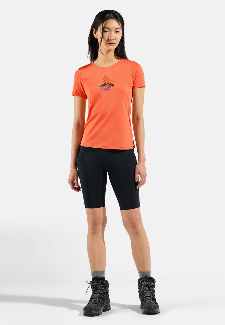 The F-Dry mountain t-shirt
