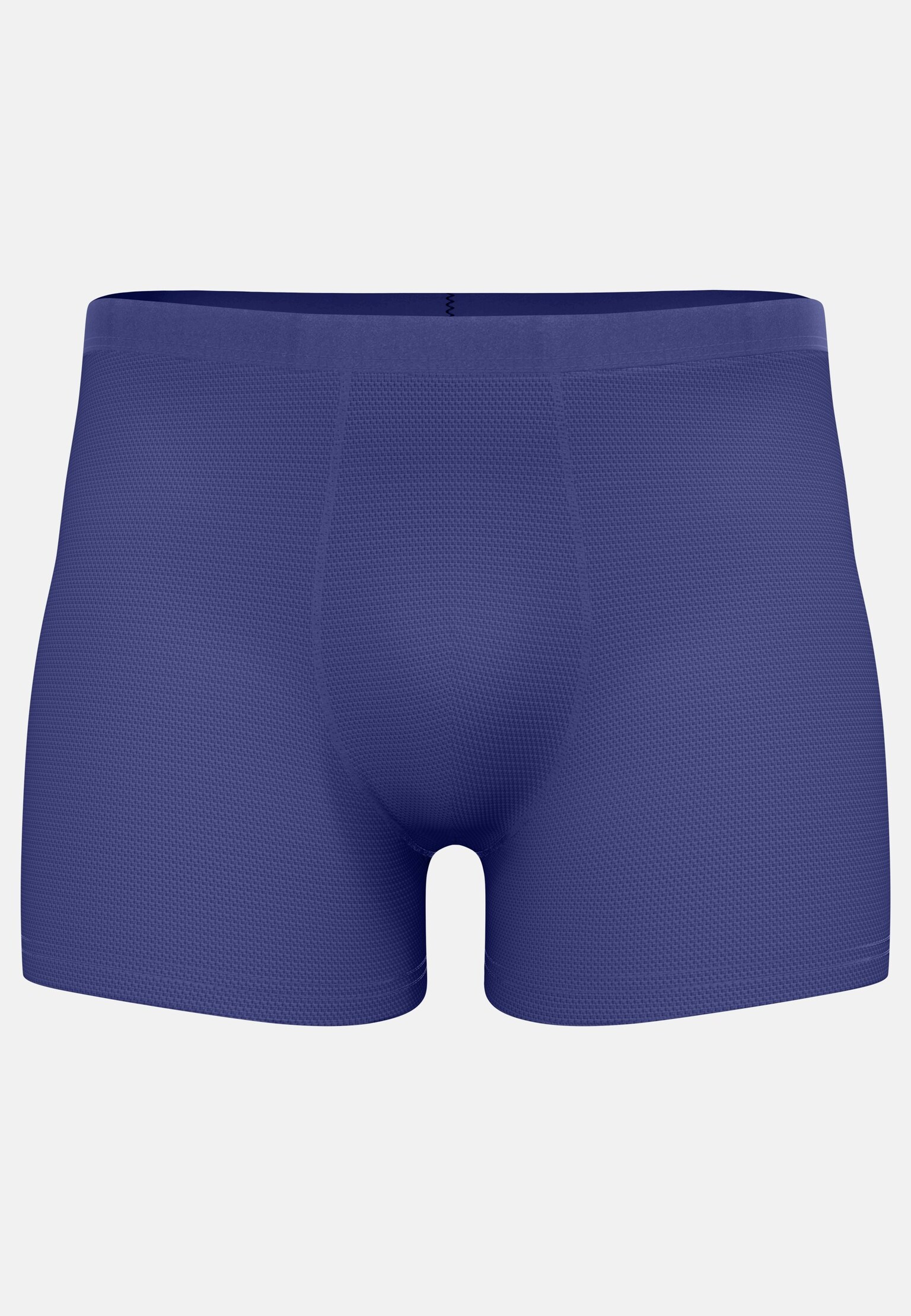 The Active F-Dry Light Boxer