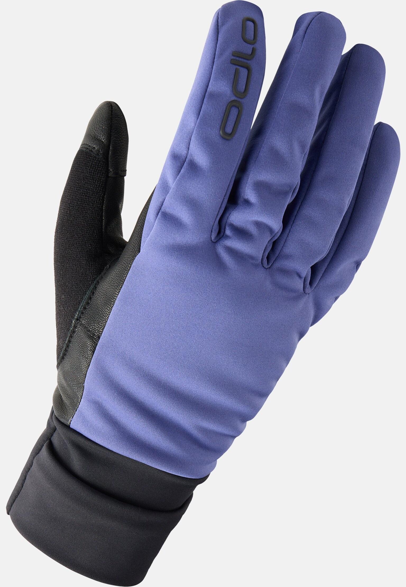The Nordic Warm gloves