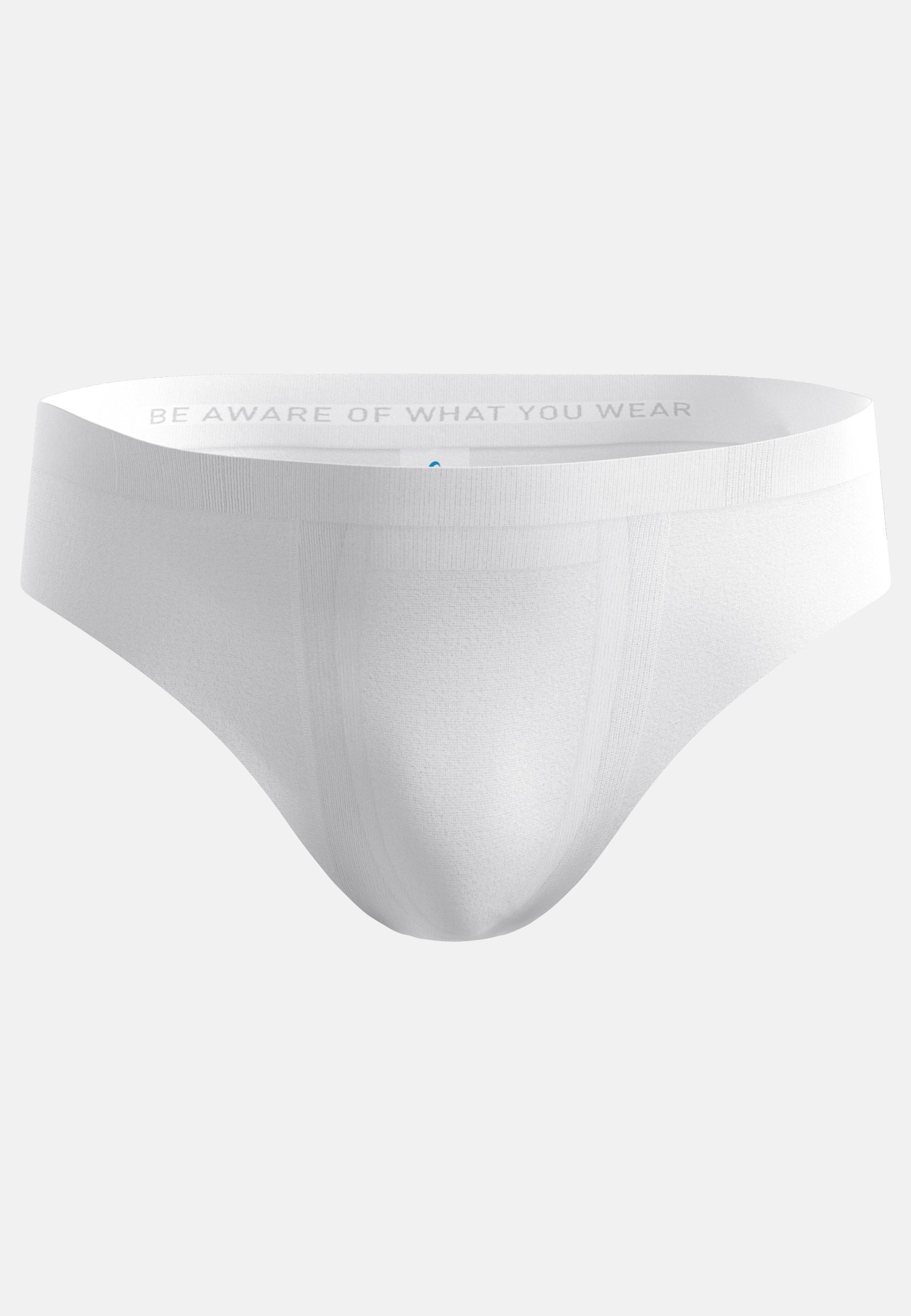 Performance Light Brief