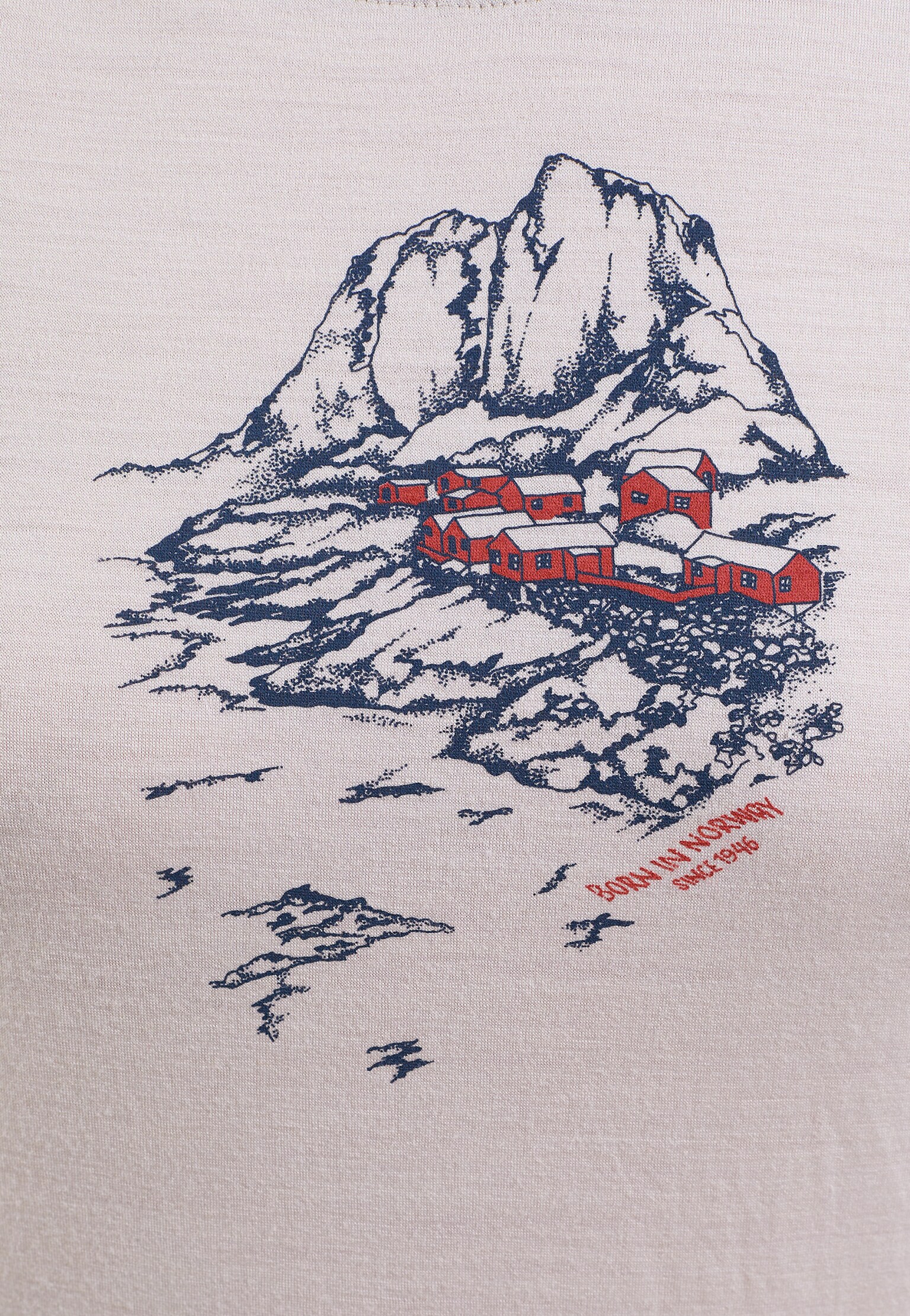 The Ascent 365 merino 200 Norge grafikk