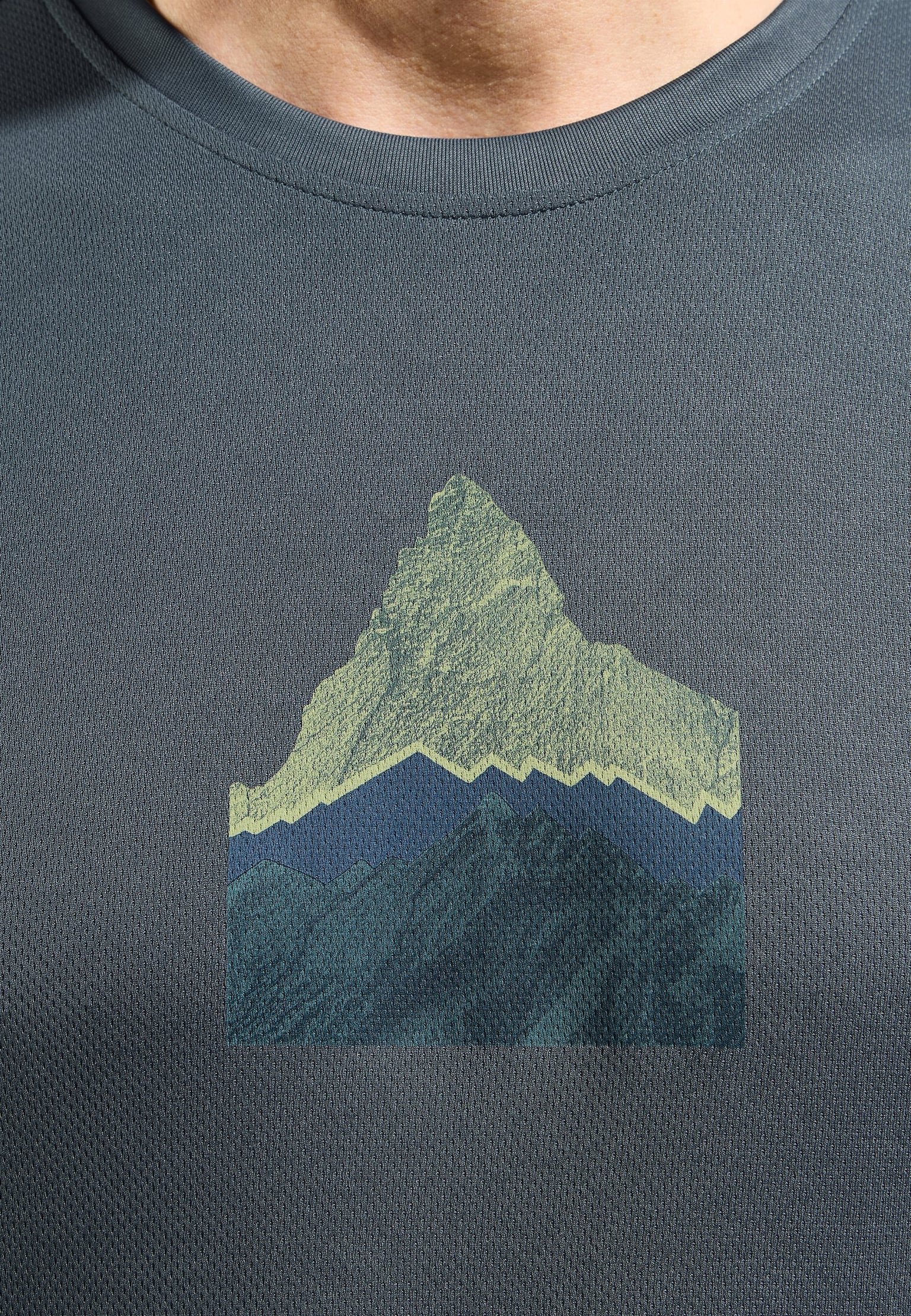 T-shirt à motif montagne F-Dry