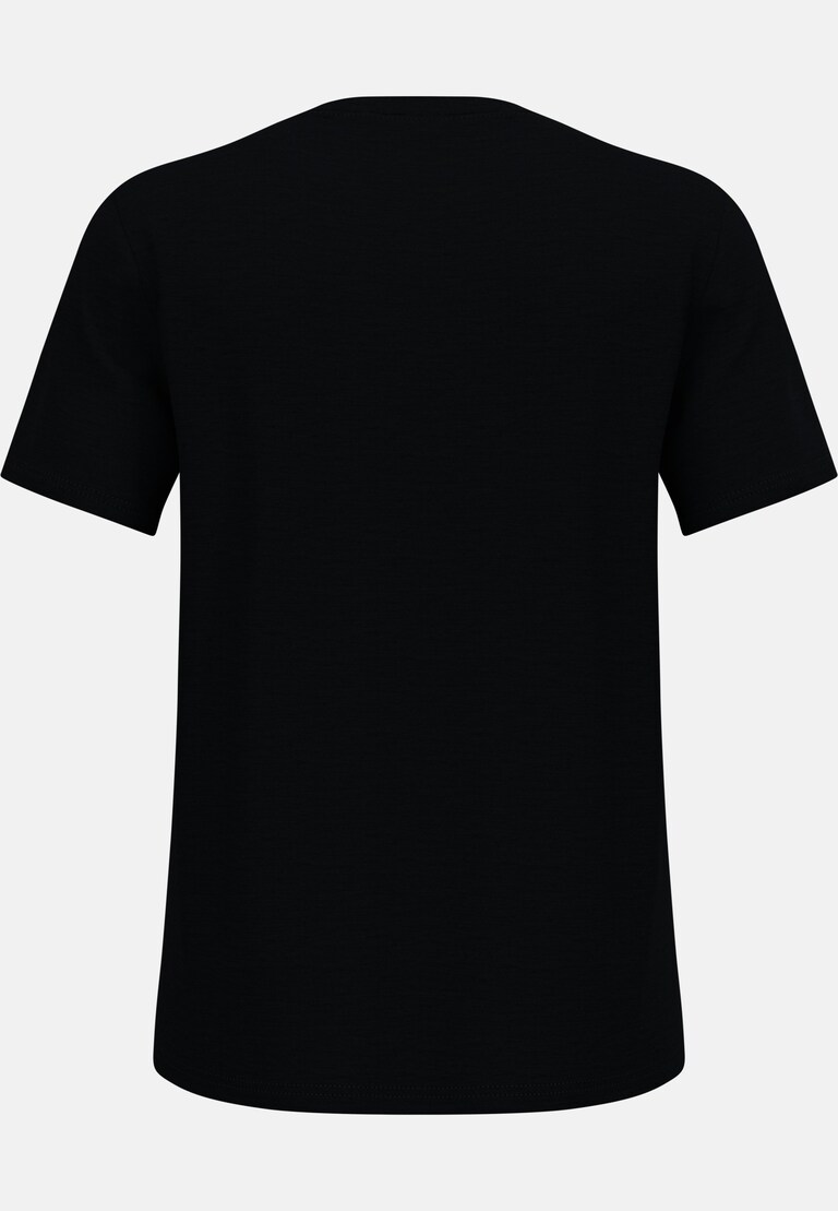 The Ascent merino 160 t-shirt