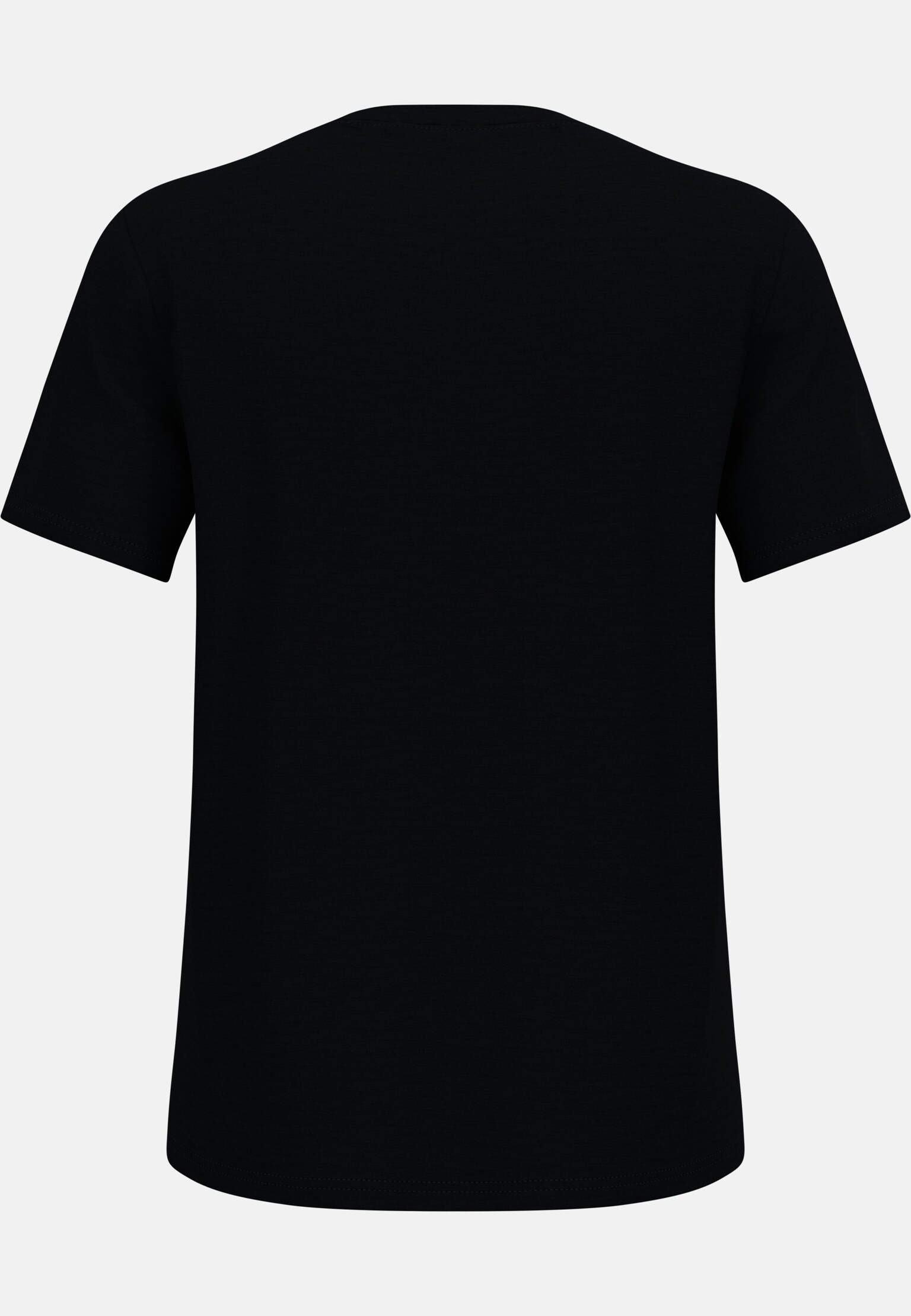 Ascent Merino 160 T-Shirt