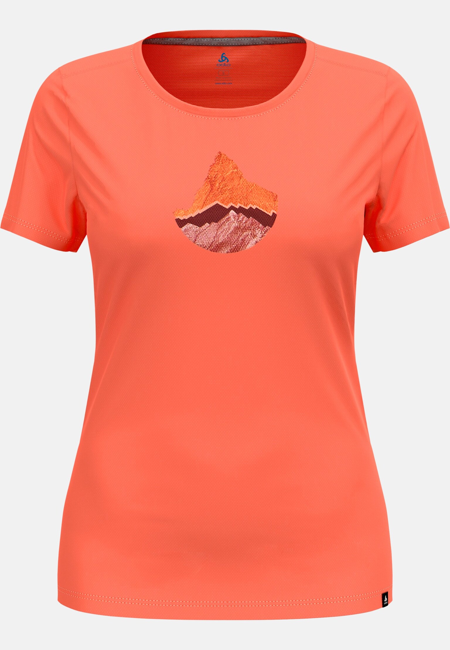 The F-Dry mountain t-shirt