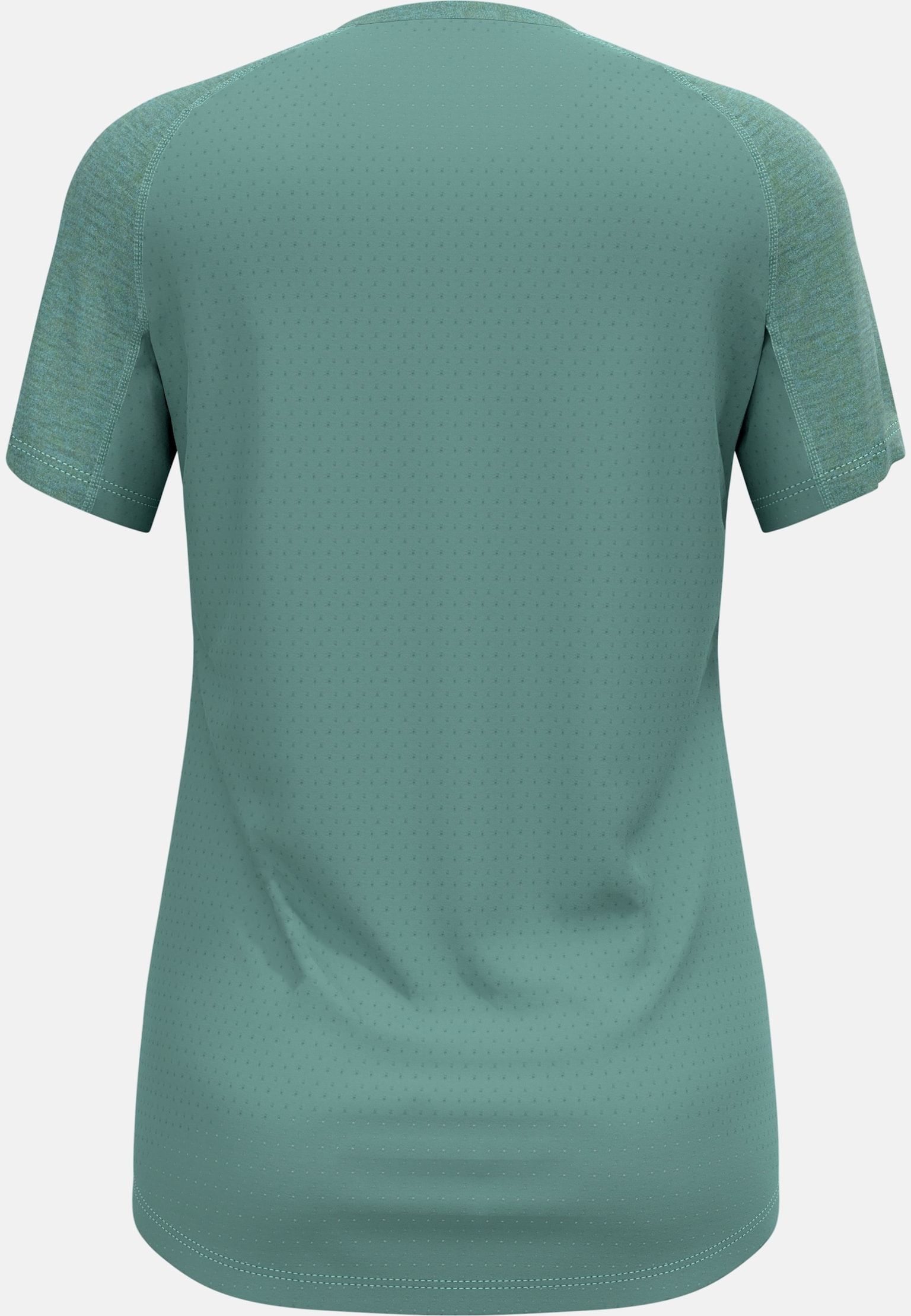 The Ascent Performance Wool 125 t-shirt