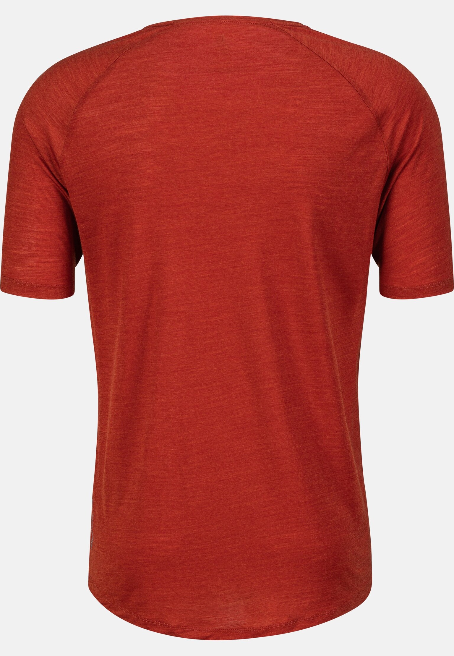 The Ascent Performance Wool 130 landscape t-shirt