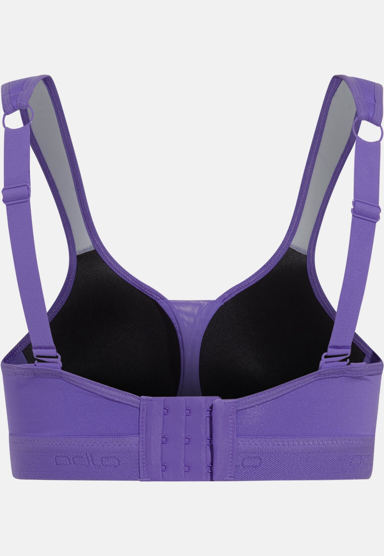 The women's padded high sports bra