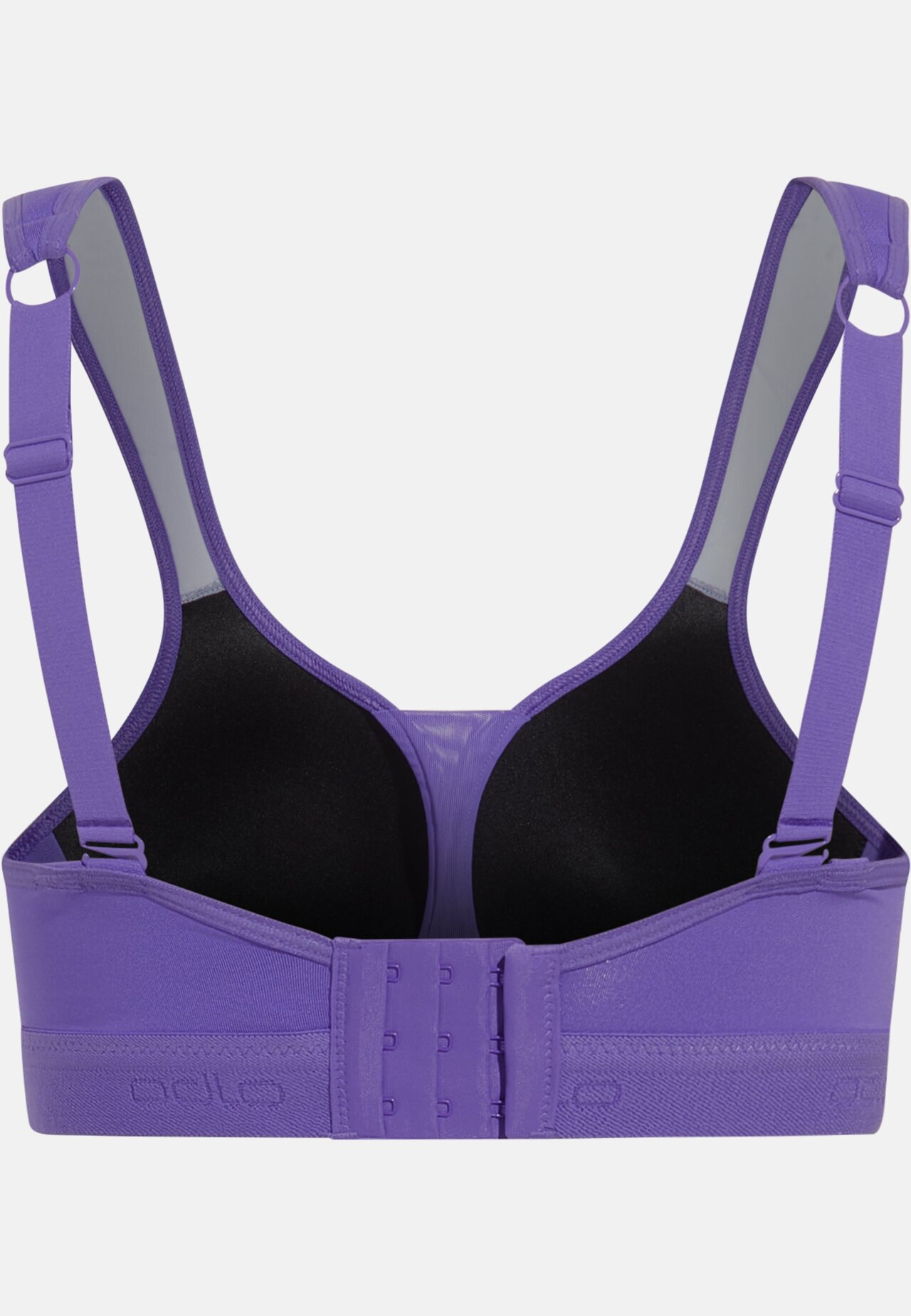 The women's padded high sports bra