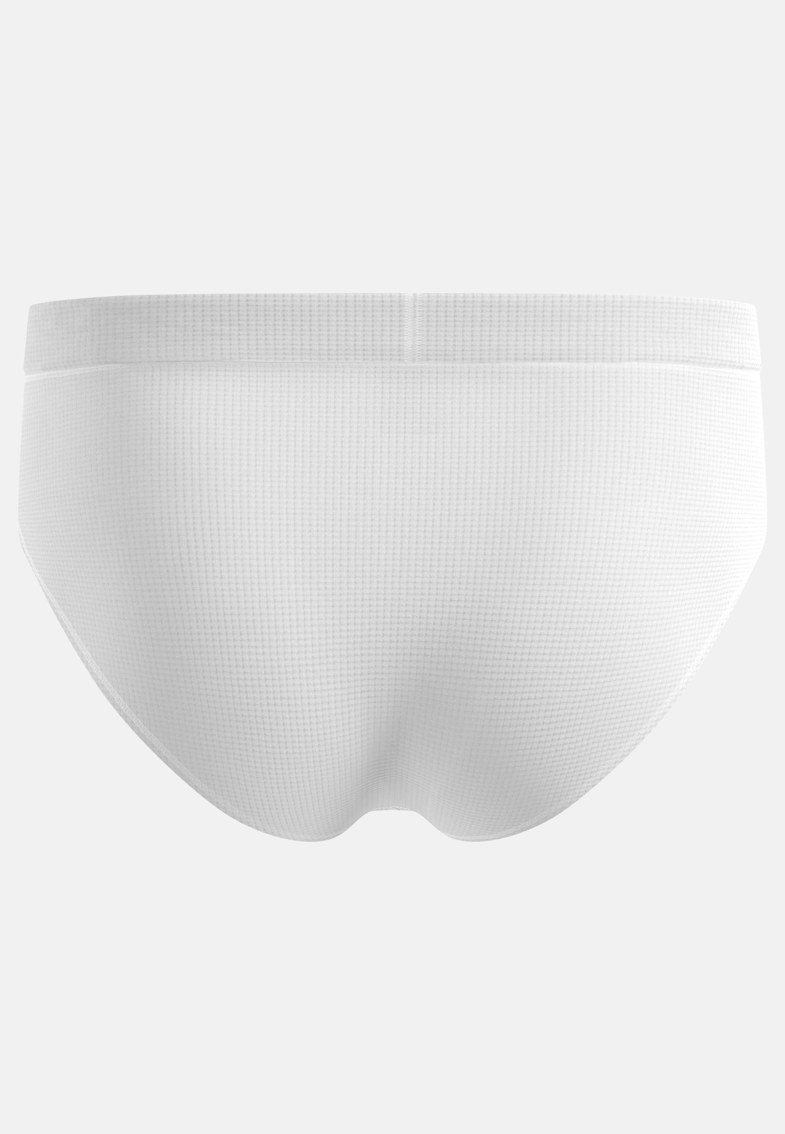Active Light Brief