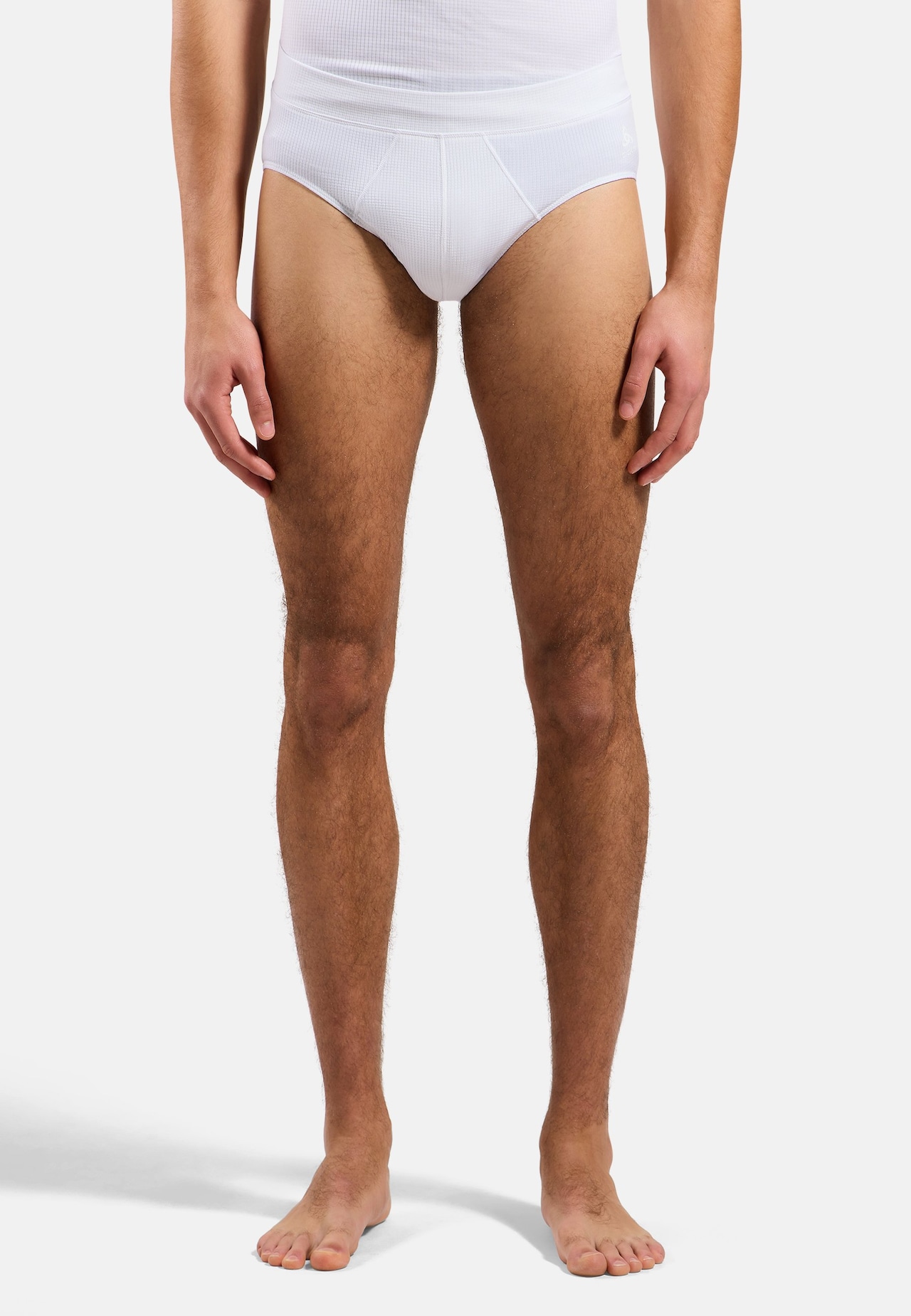 Active Light Brief