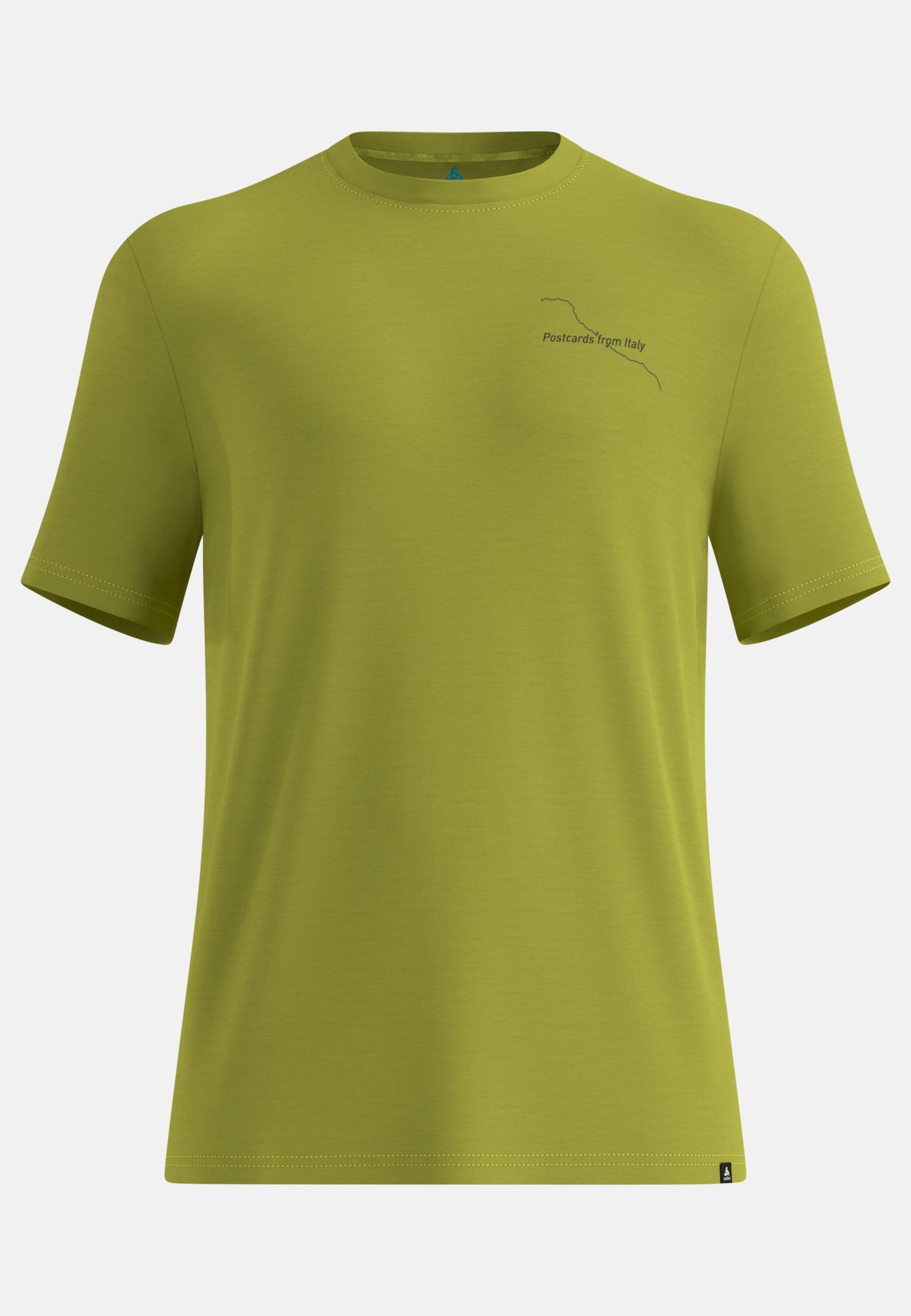 Odlo Merino 160 Postcards T-Shirt für Herren - Wandern, Casual Comfort - grün, XL