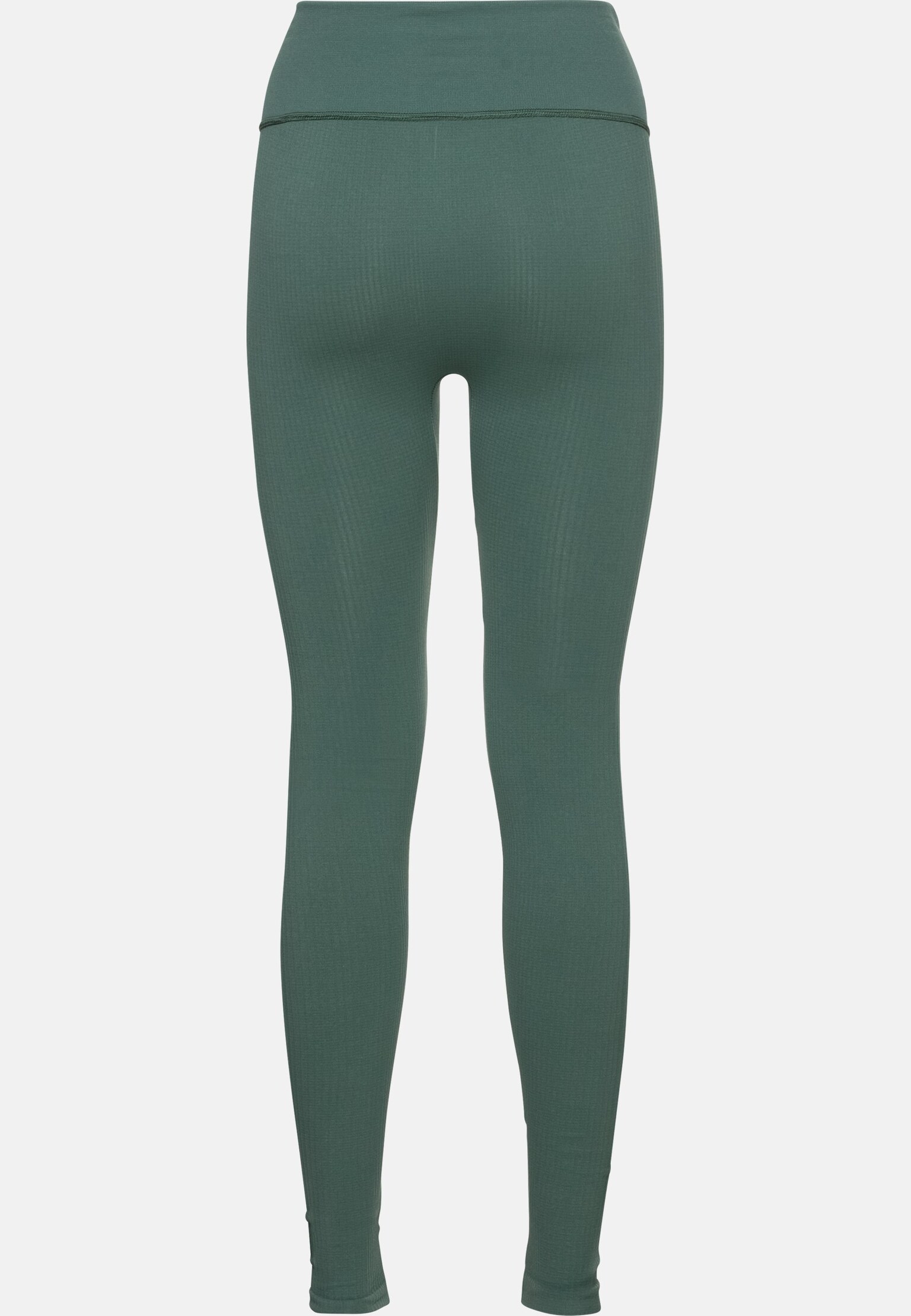 The Active 365 seamless training tights