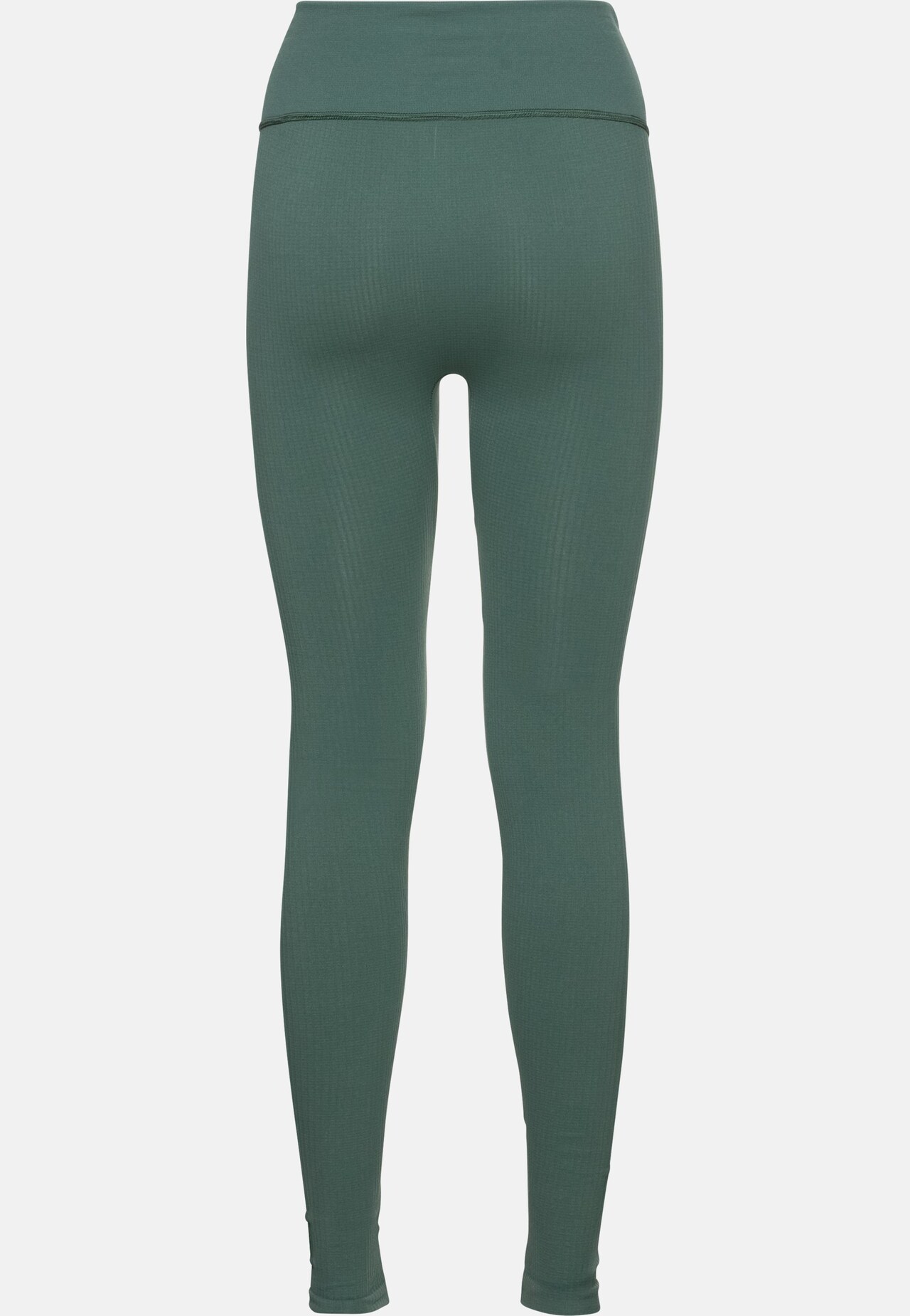 Active 365 Seamless Lauftights