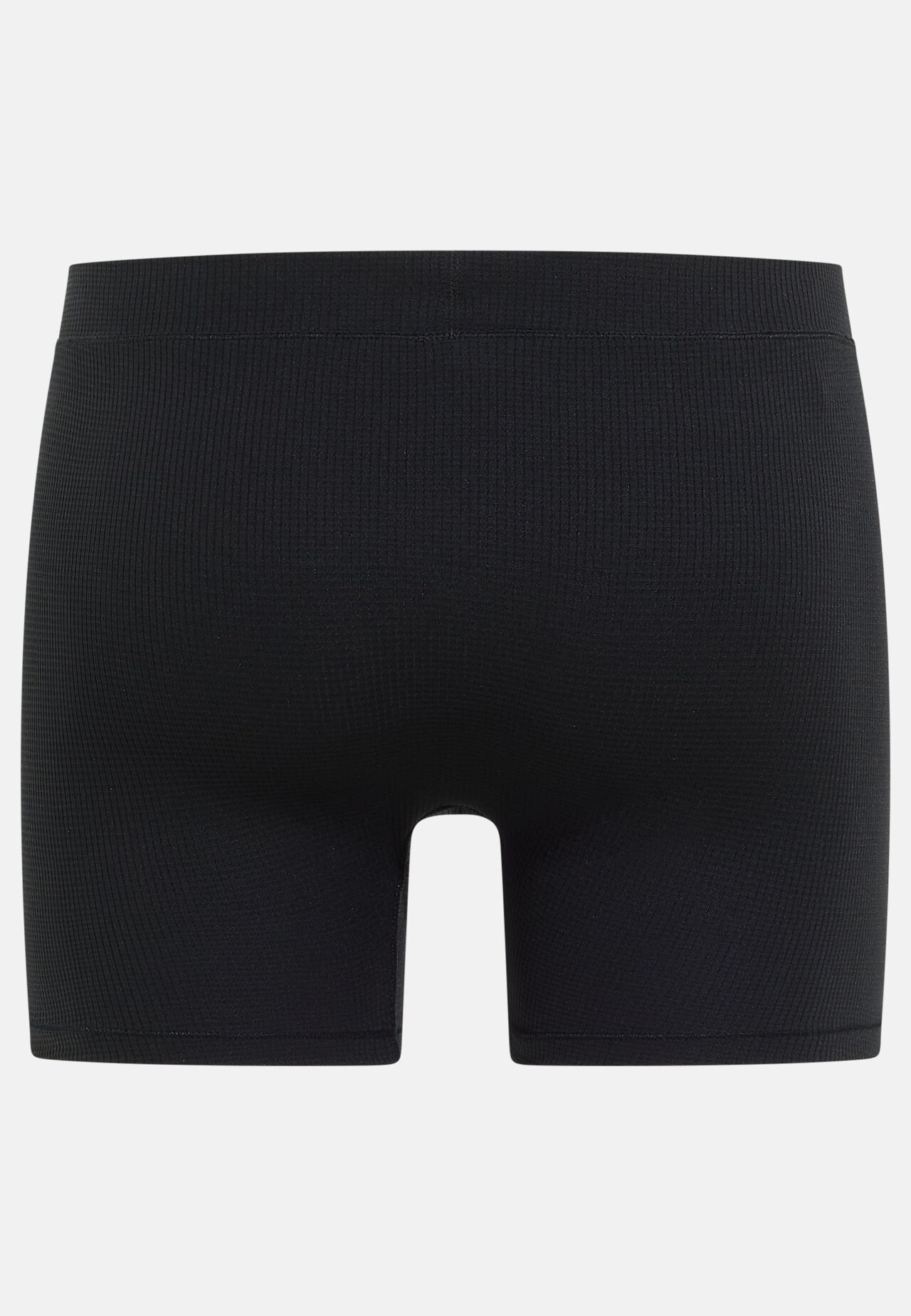 Boxer Active Light