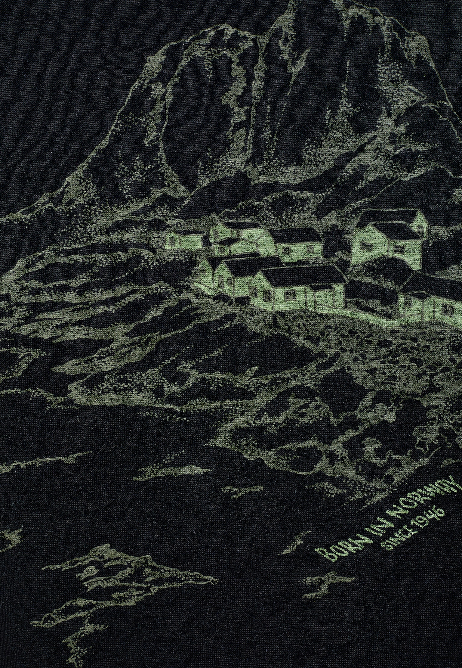 Haut à motif Norvège en laine mérinos 200 Ascent 365