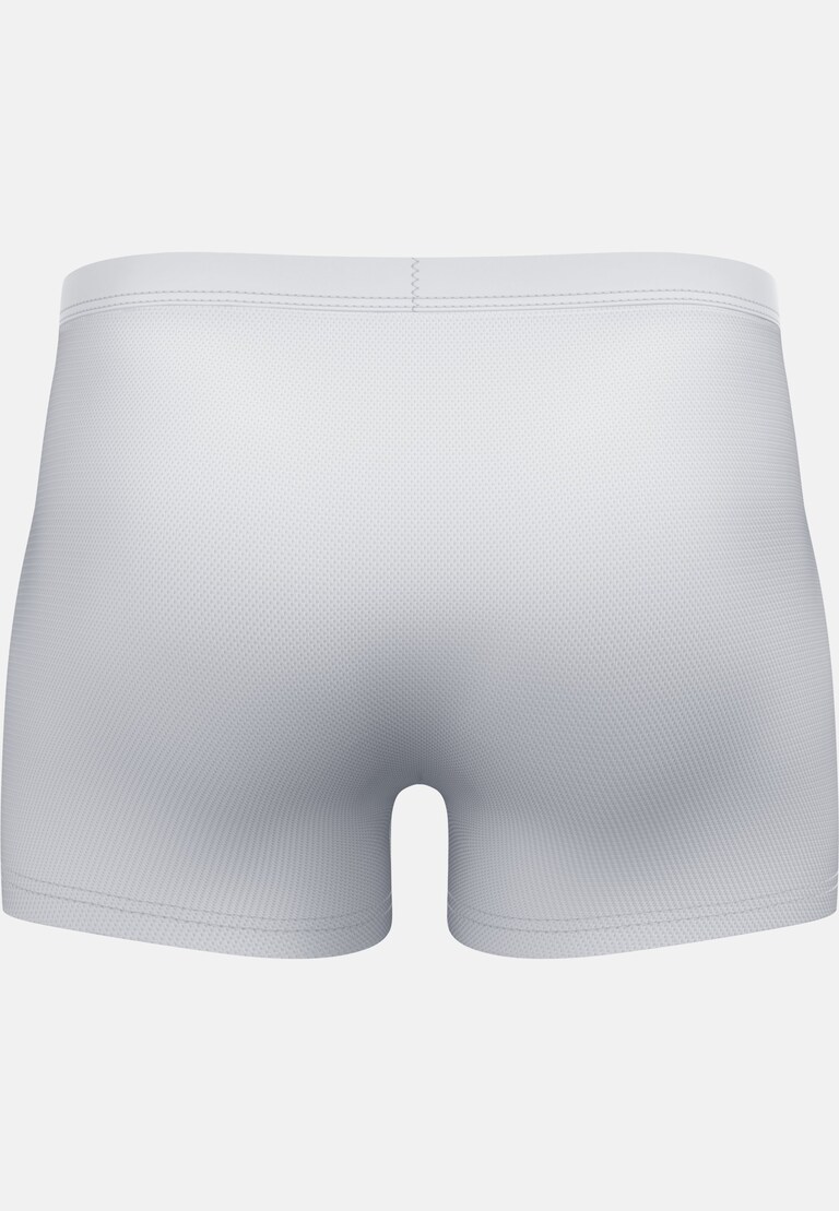 The Active F-Dry Light Boxer