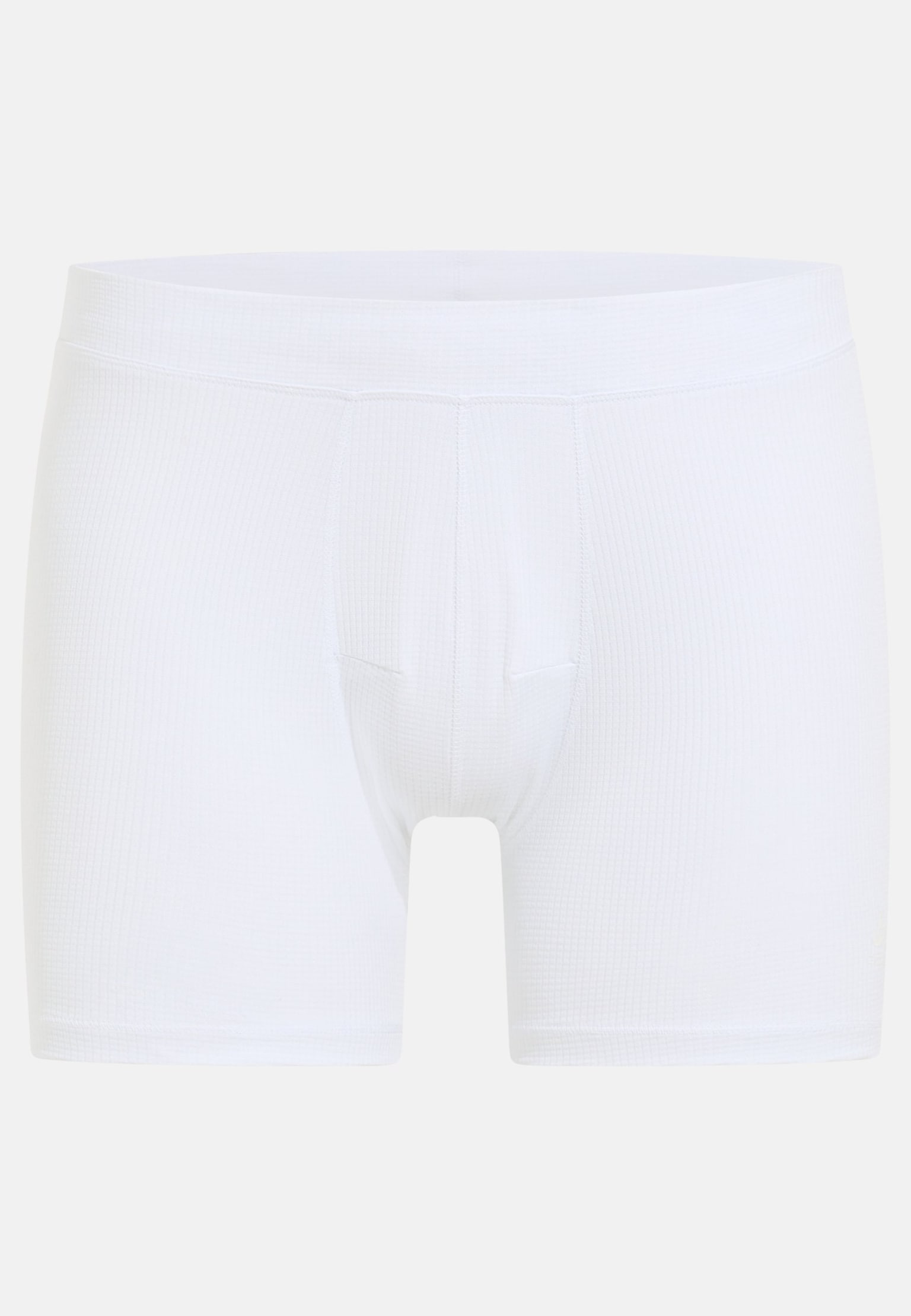 Active Light Boxers