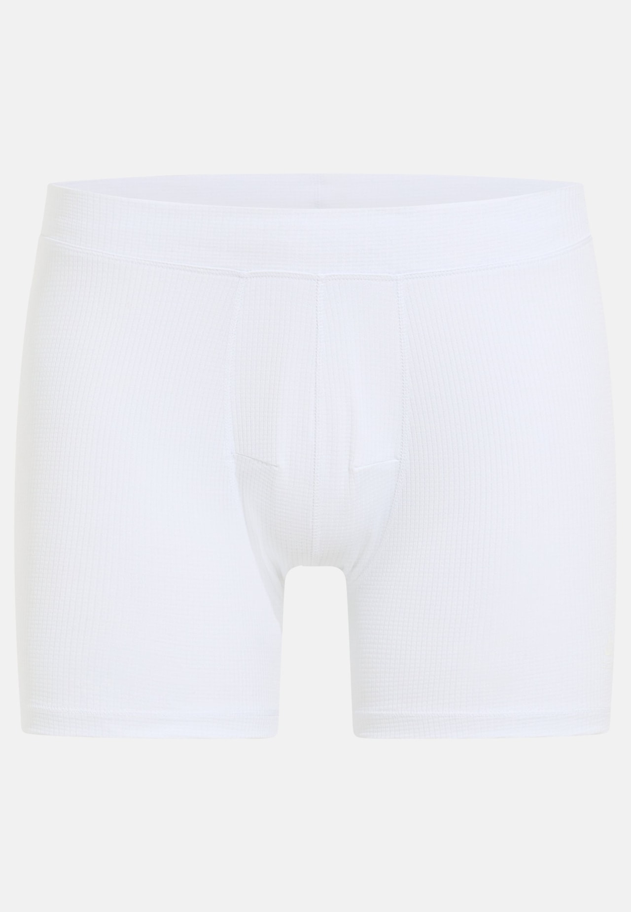 Active Light Boxers