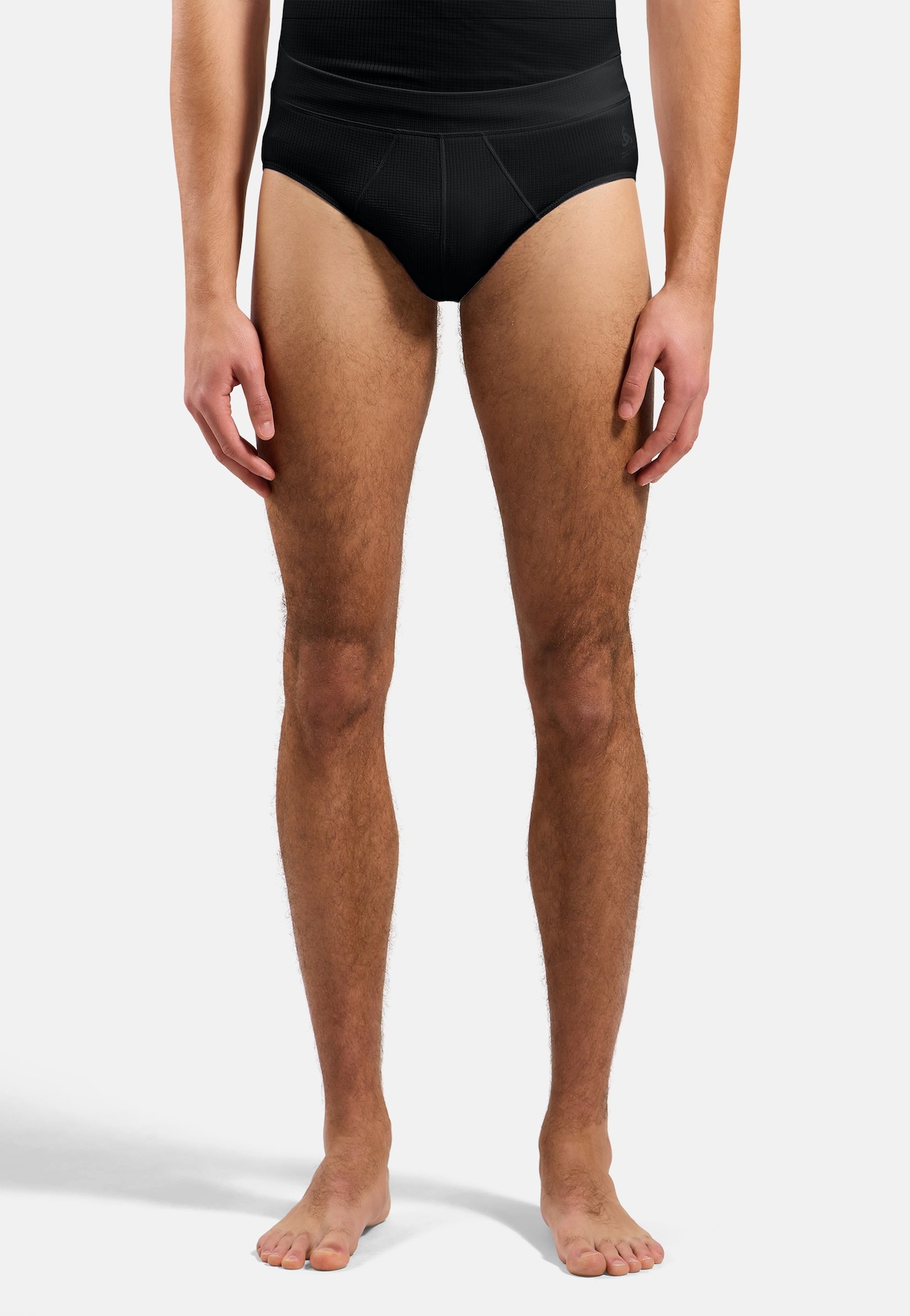 Active Light Brief