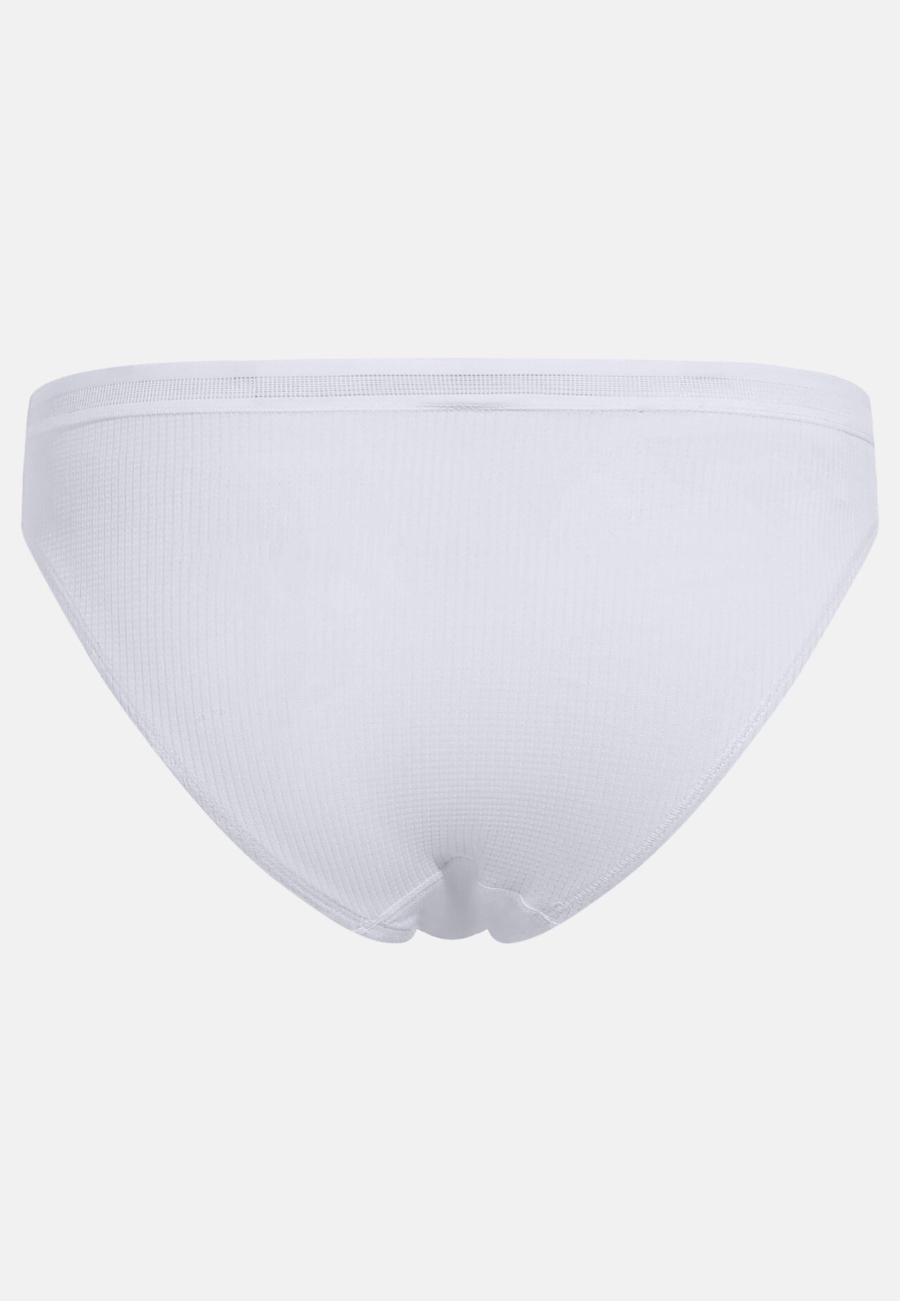 Active Light Brief