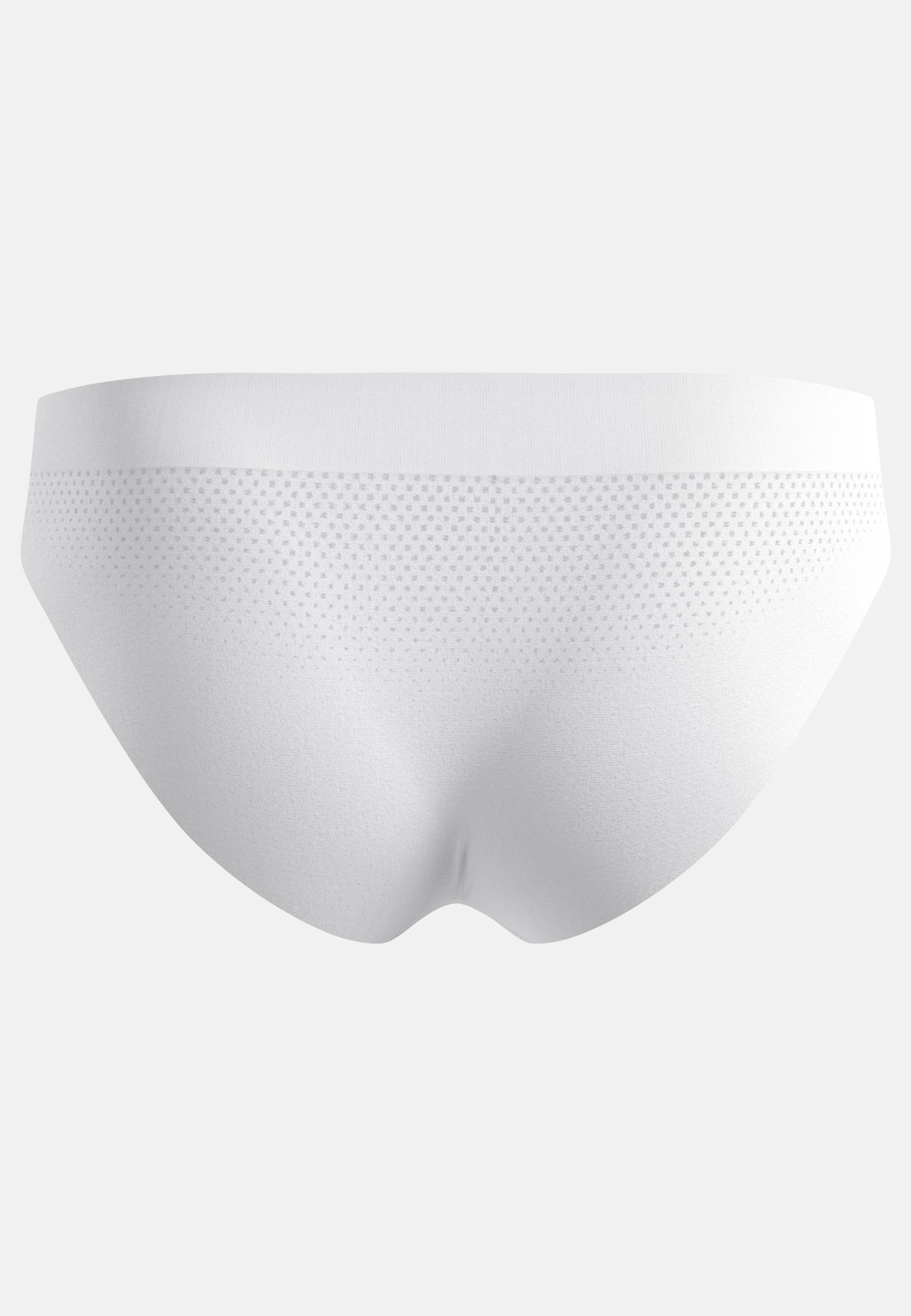 Performance Light Brief