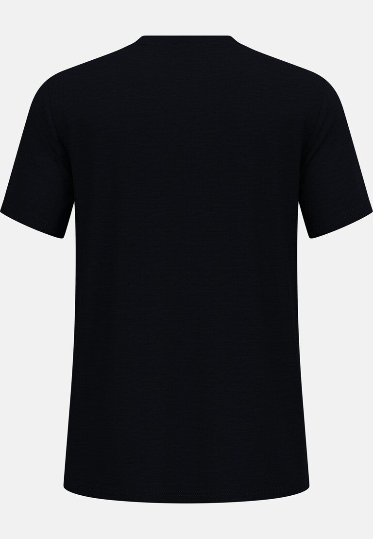 The Ascent merino 160 raincloud t-shirt