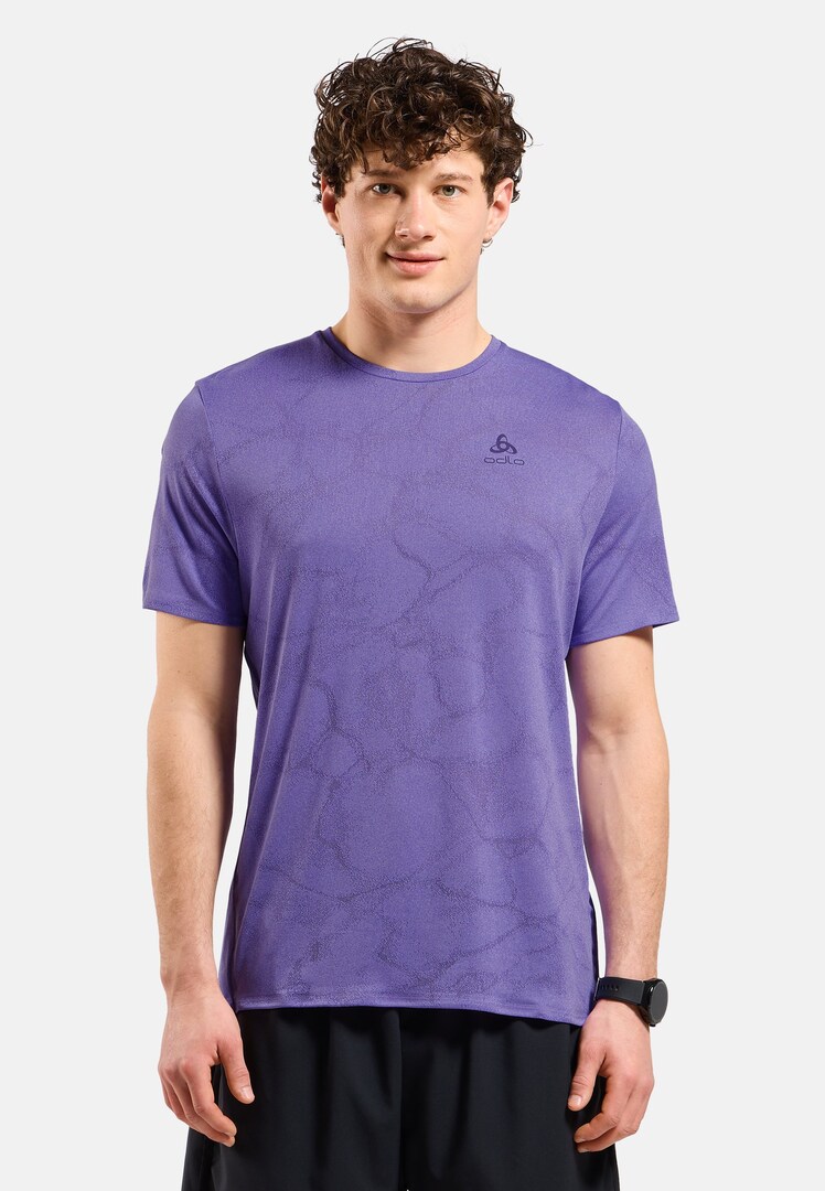 Tシャツ・カットソー CHAMPION Men T-shirt Violet 221124 VS518 Champion Men's Lightweight Short Sleeve Tee - Sam's Club
