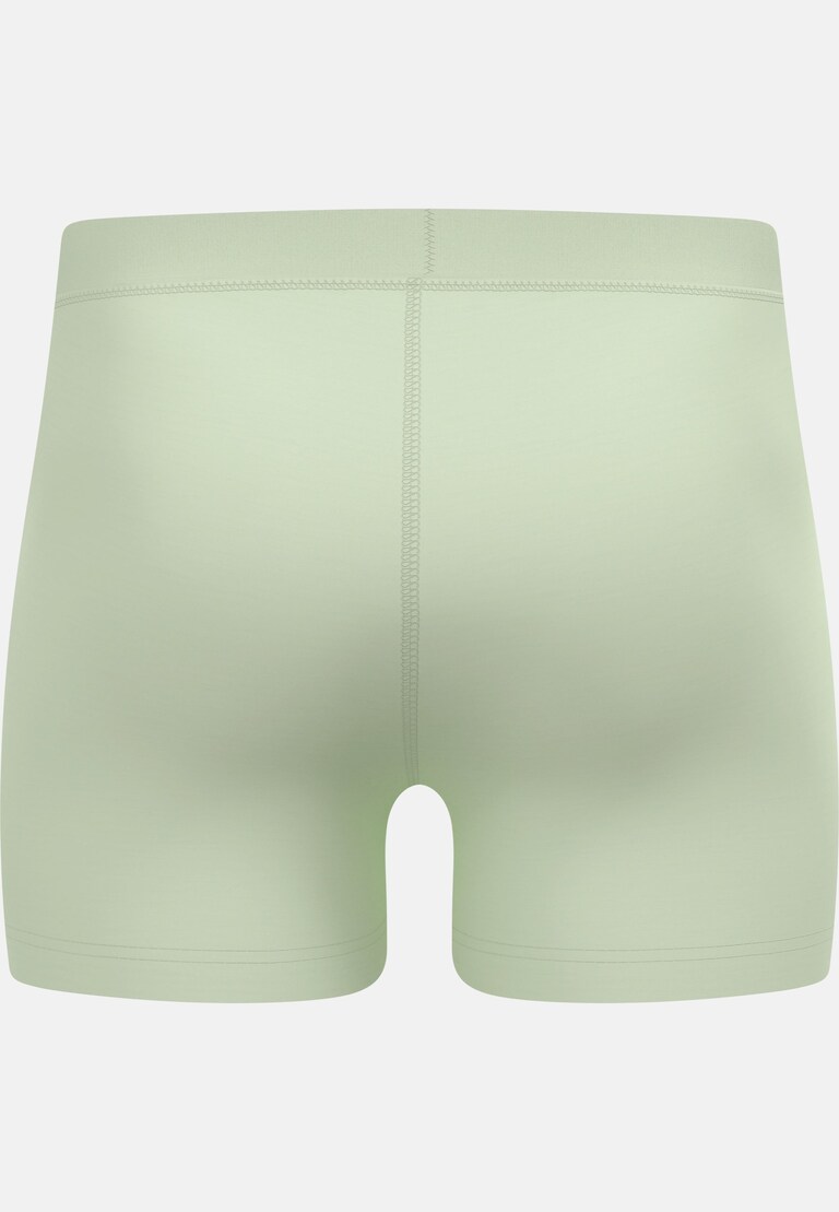 The Natural Merino 160 Boxers