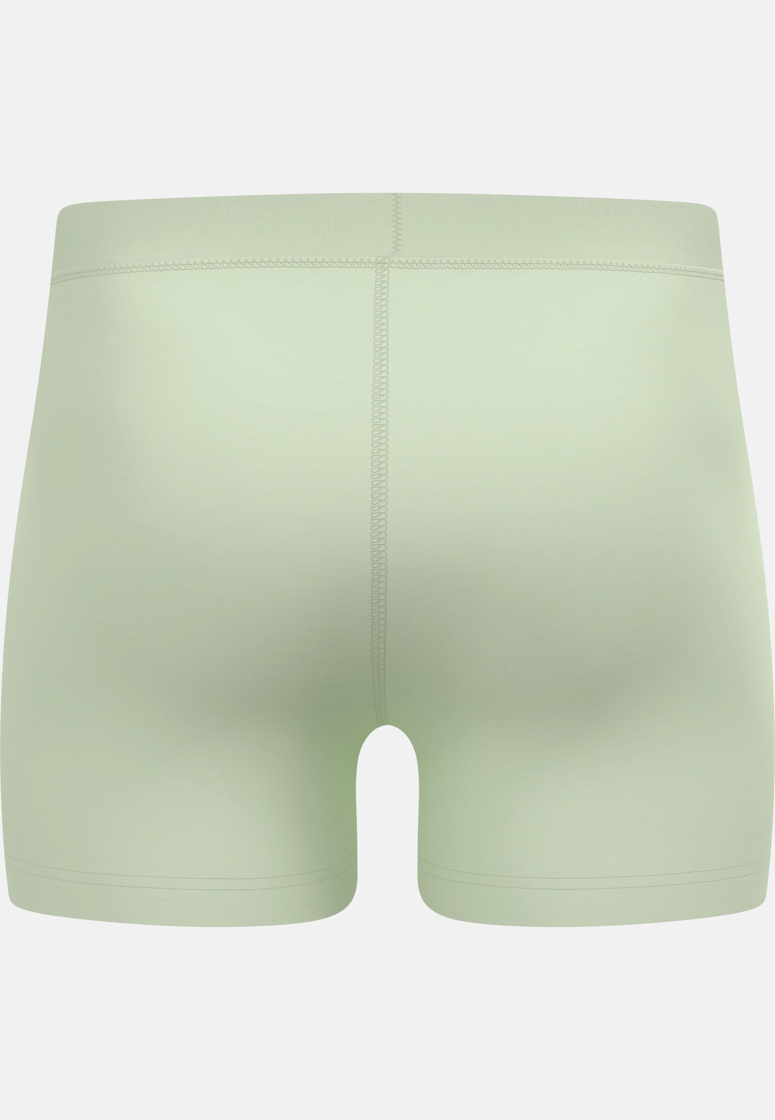 Natural Merino 160 Boxer