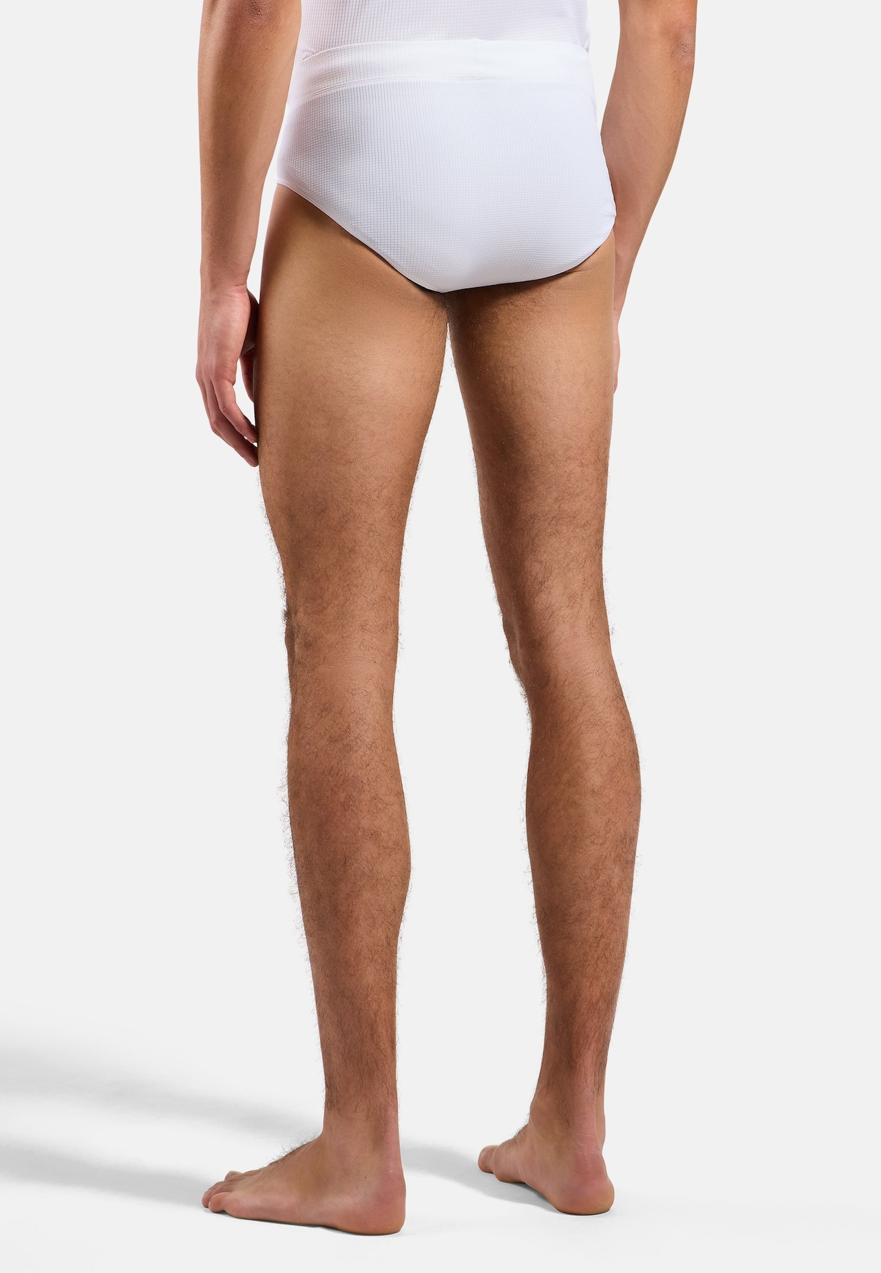 Active Light Brief