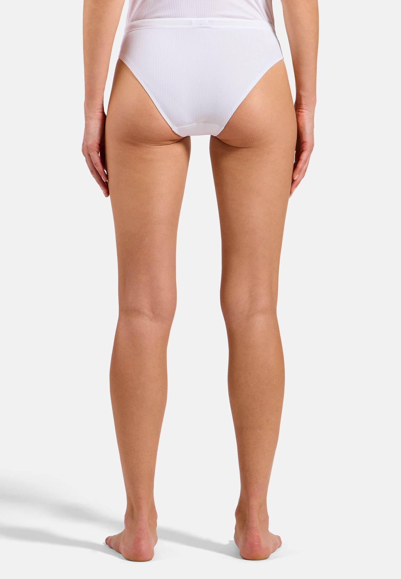 Active Light Brief