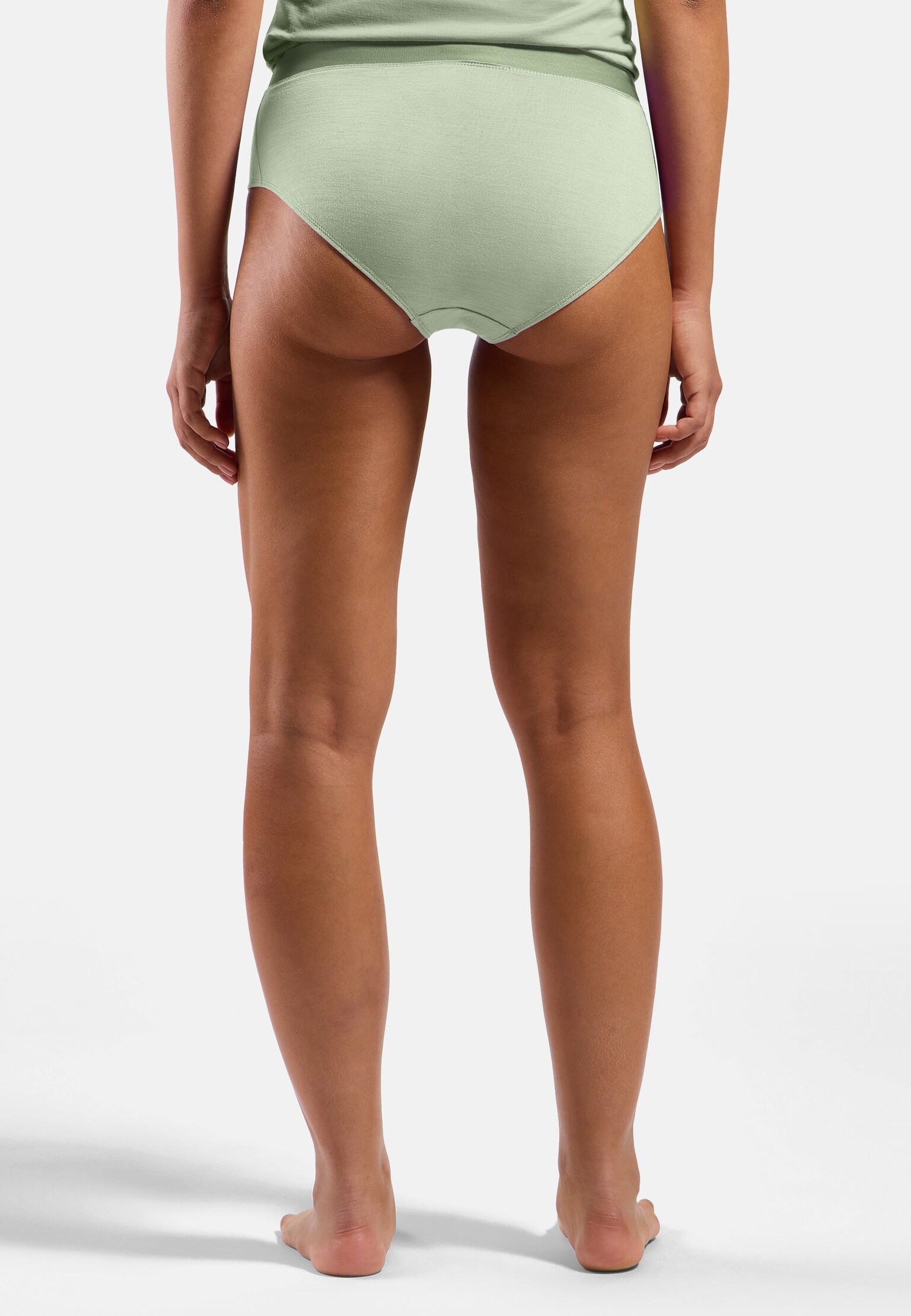 Natural Merino 160 Brief