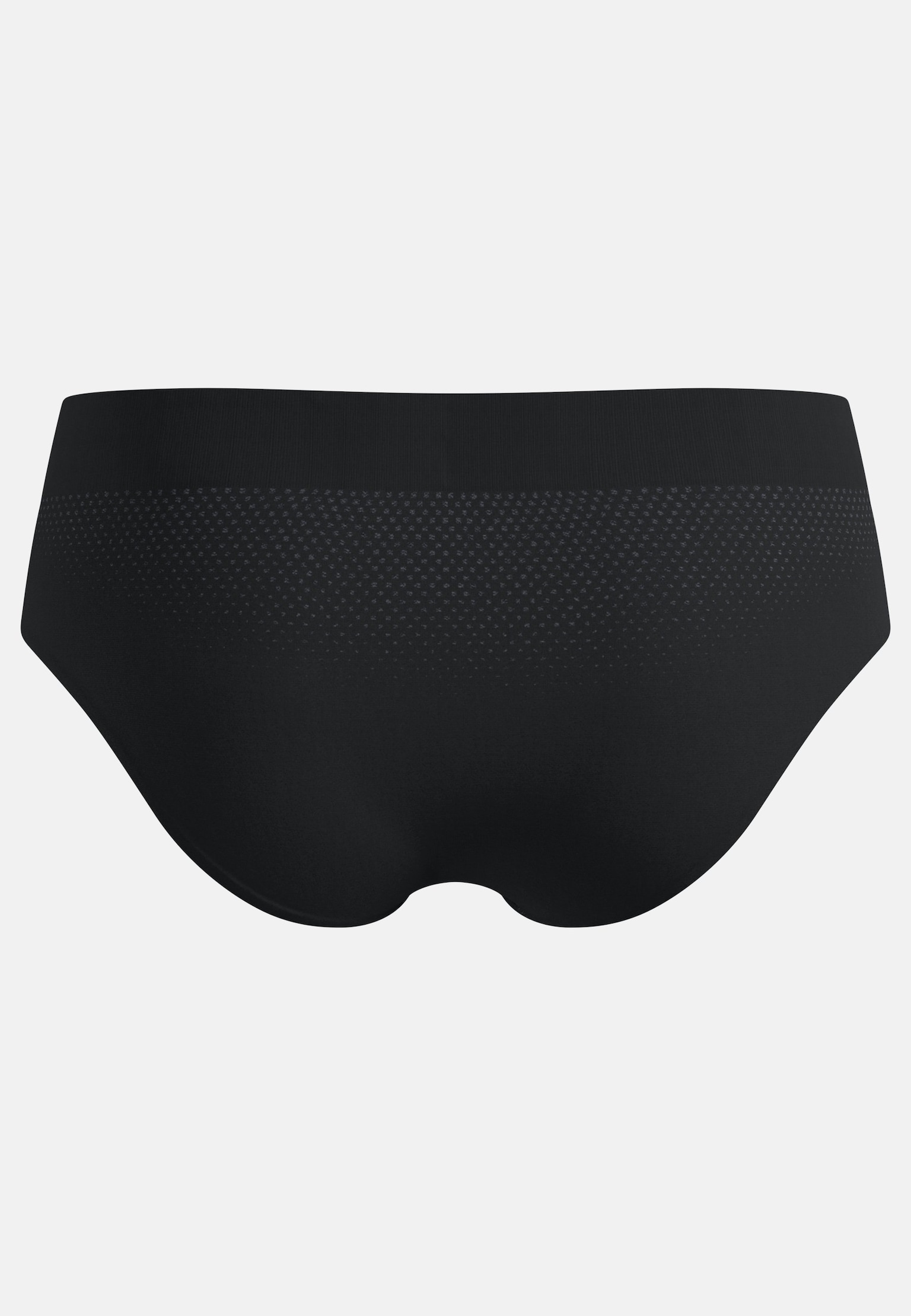 Performance Light Brief