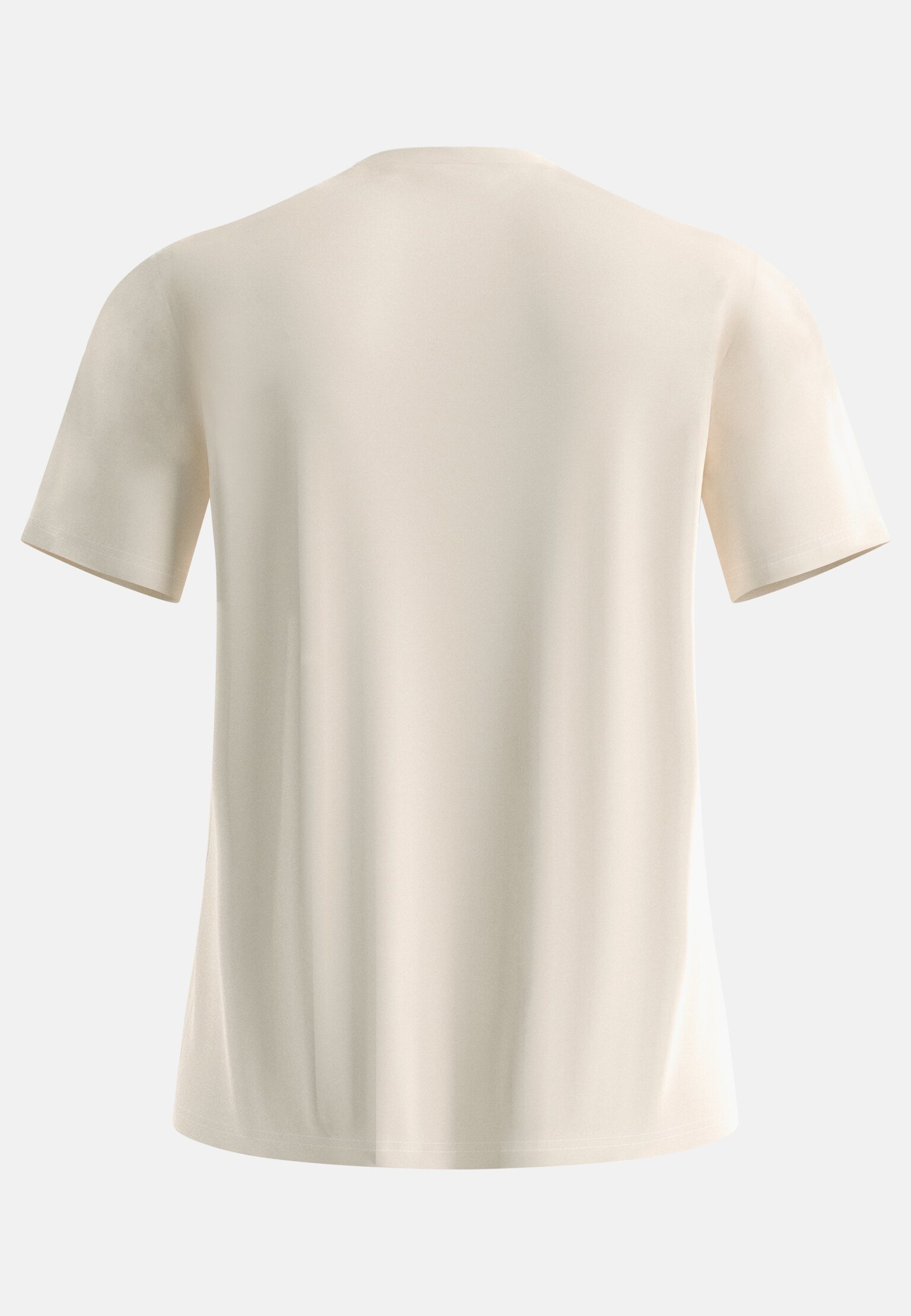 The Ascent merino 160 t-shirt