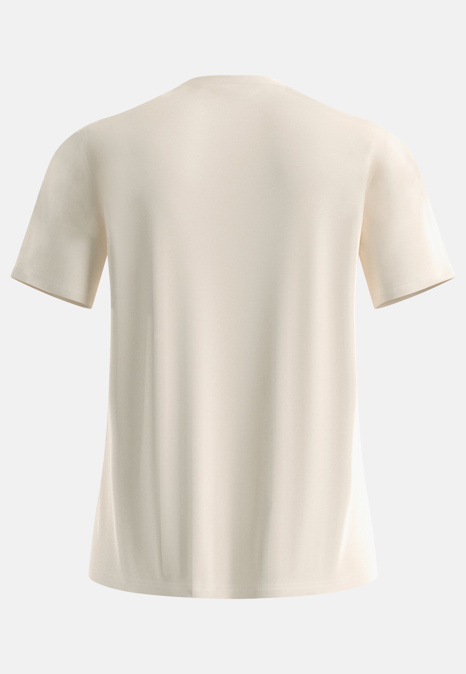Ascent Merino 160 T-Shirt