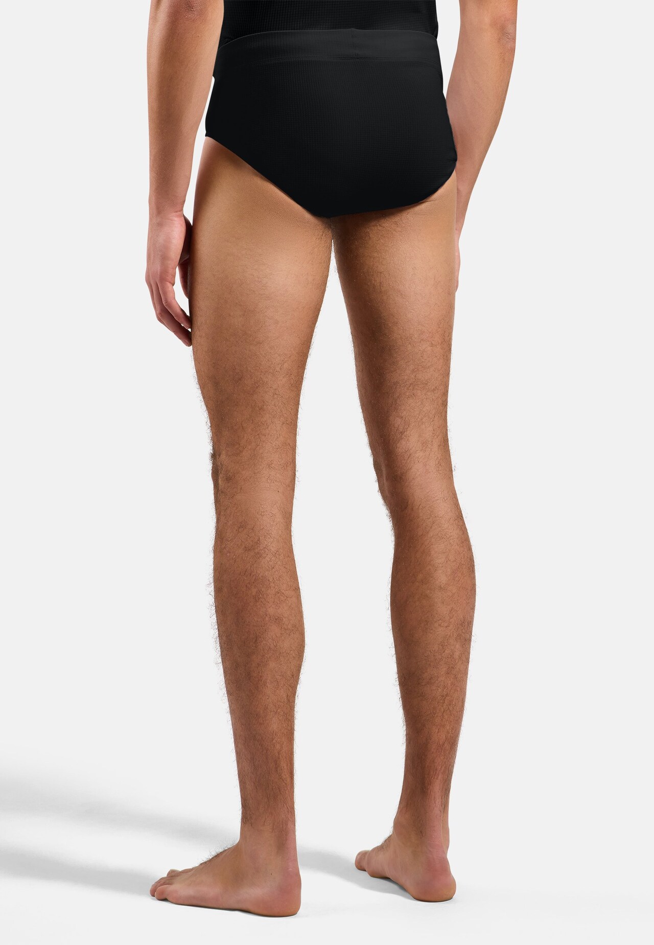 Active Light Brief