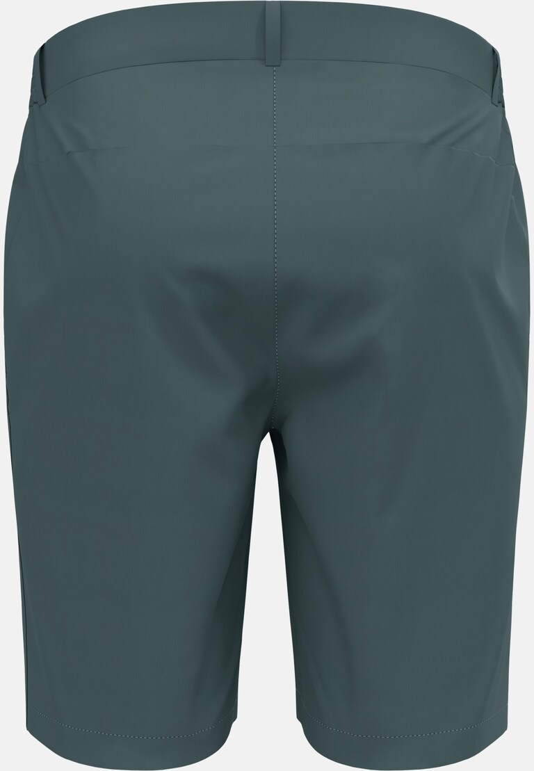 Ascent Light Wandershorts