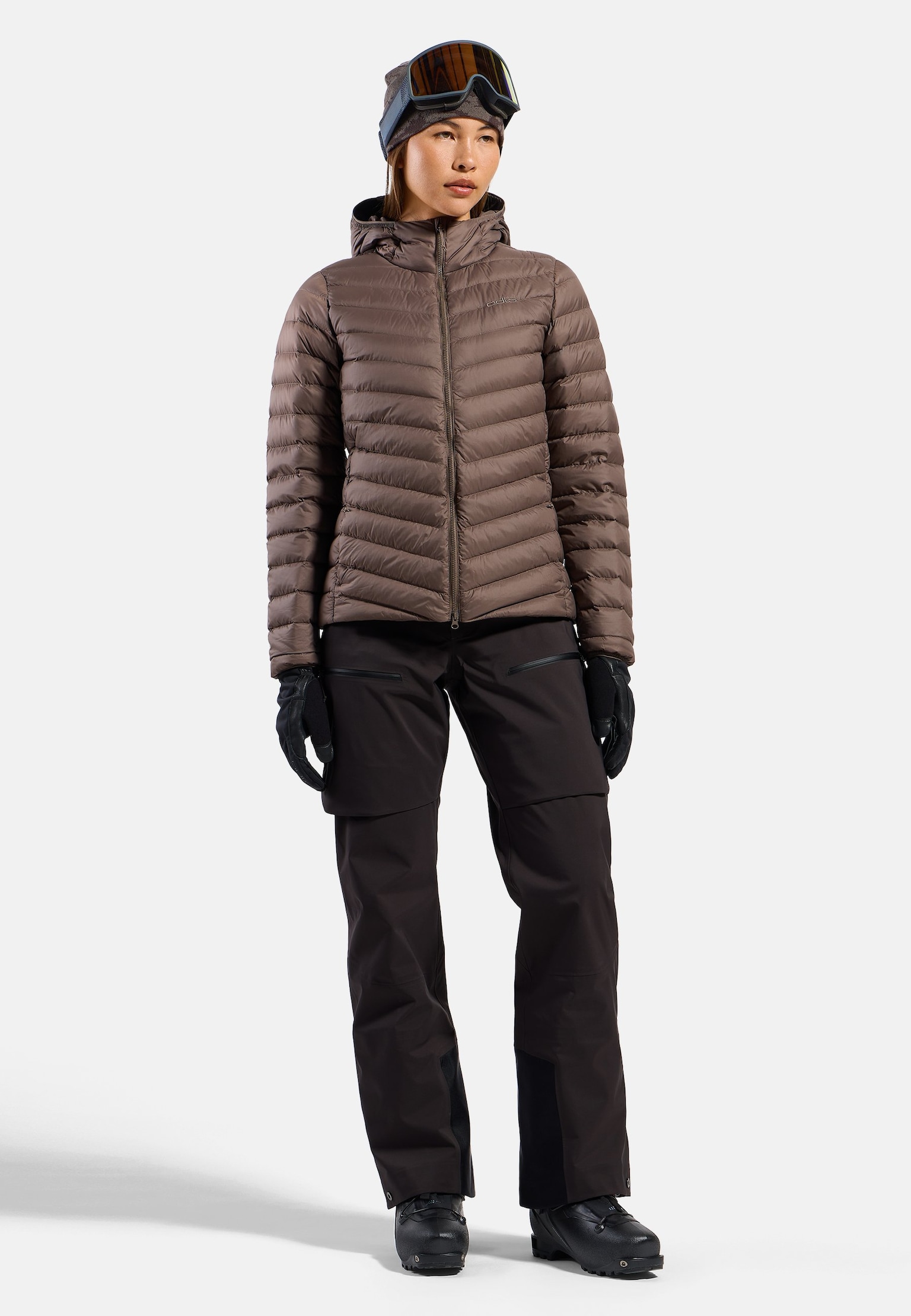 X-Alp 3L Pants