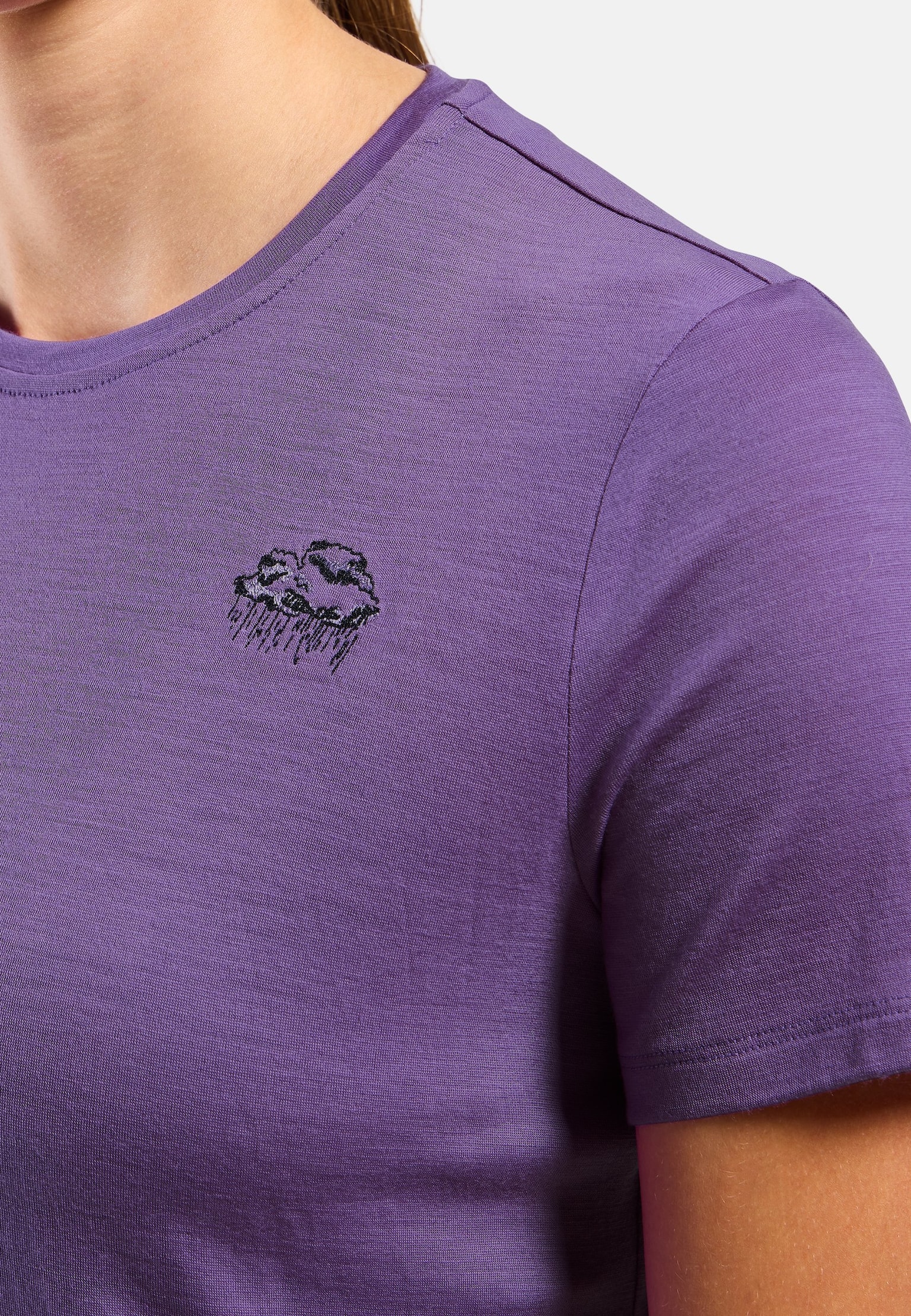 Raincloud Merino 160 T-Shirt