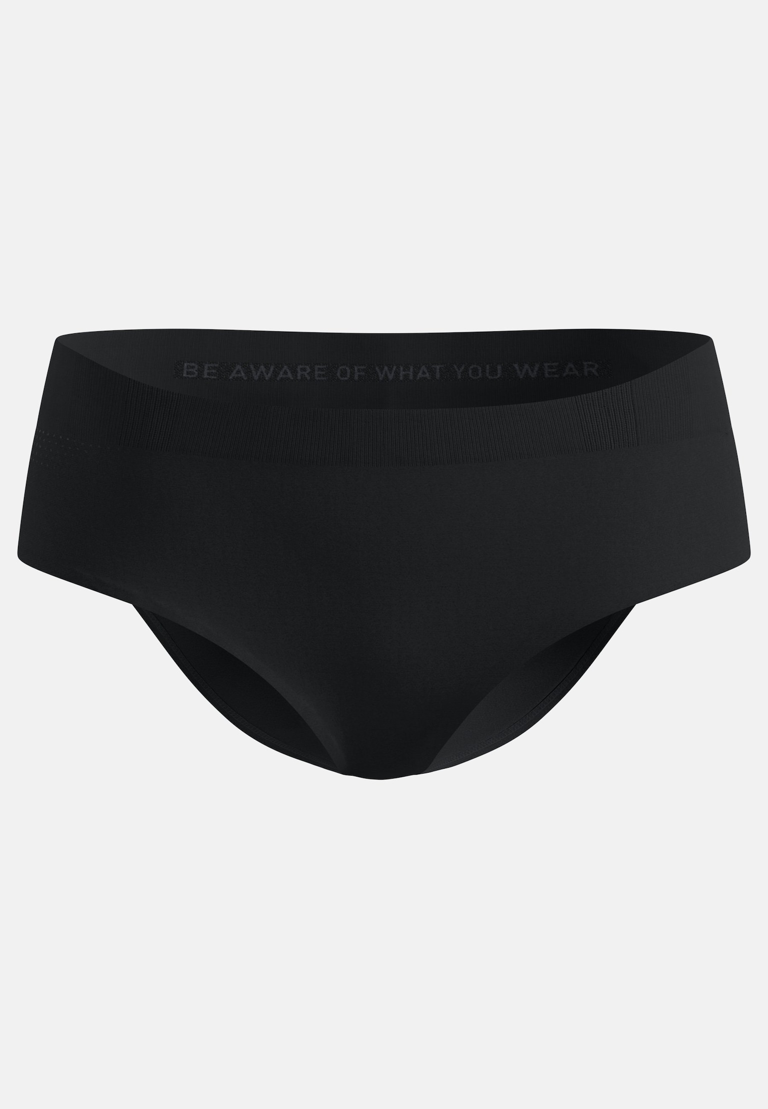 Performance Light Brief